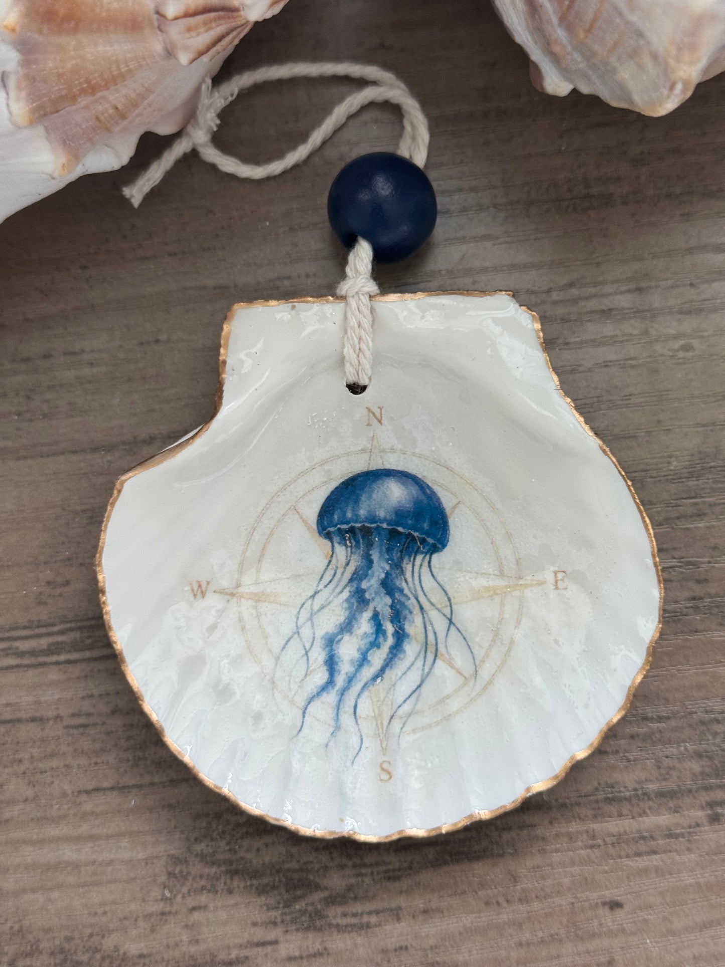 Nautical Compass Shell Ornaments