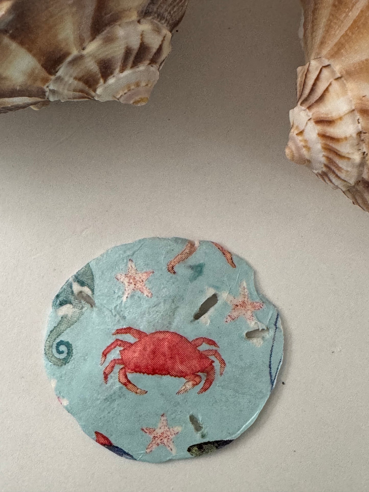 Sand Dollar