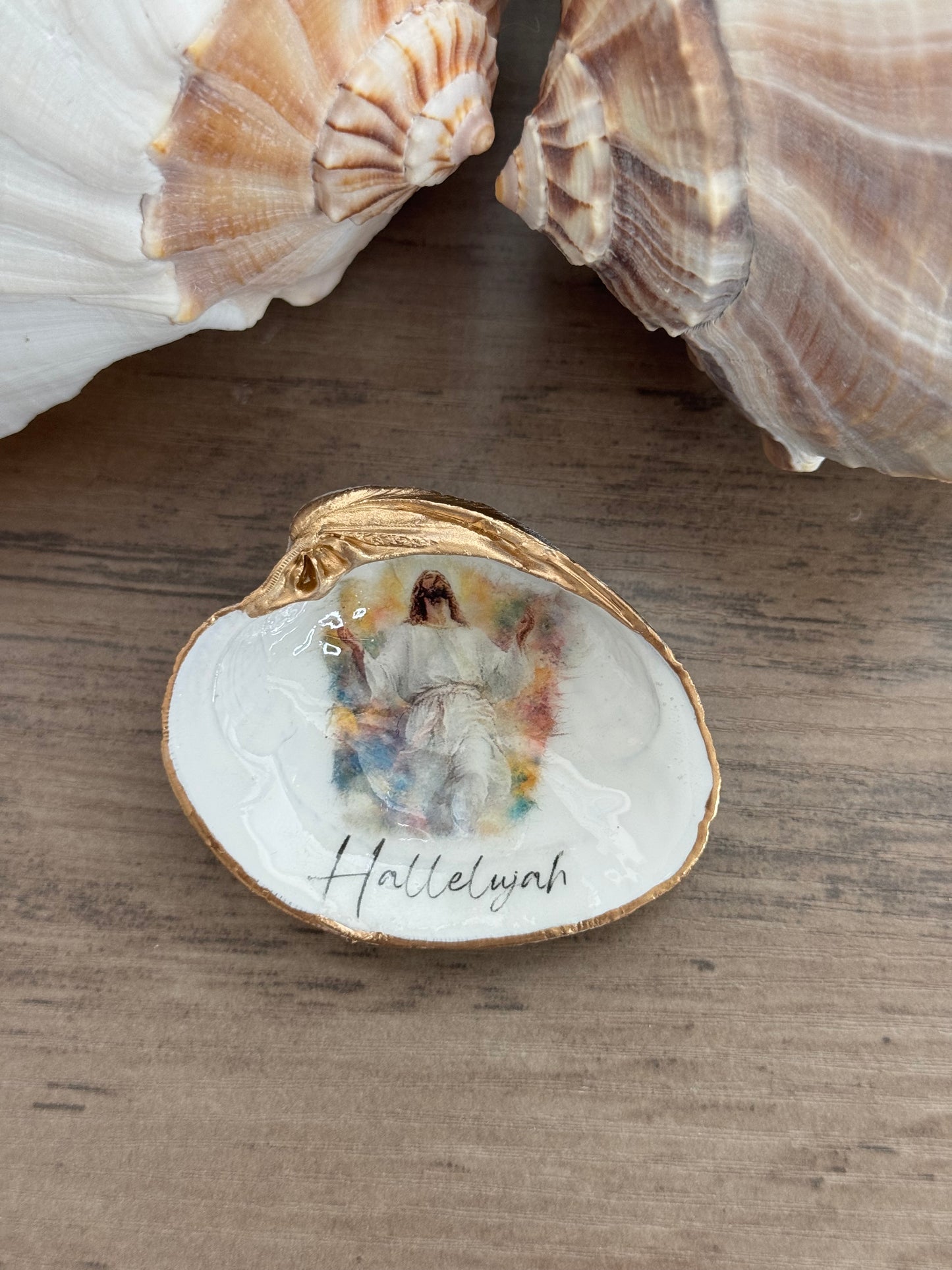 Quahog Clam Shell Trinket Tray