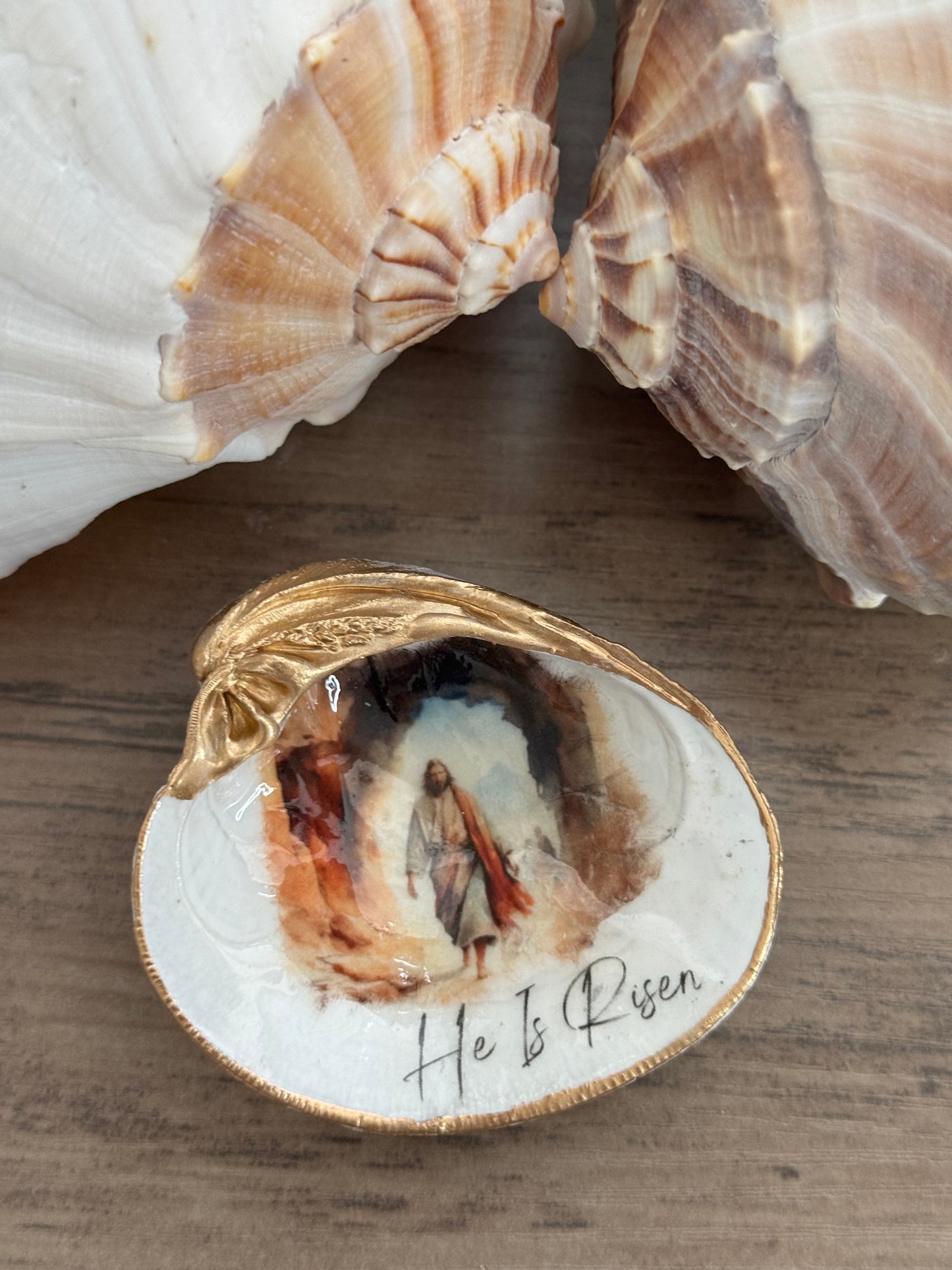 Quahog Clam Shell Trinket Tray