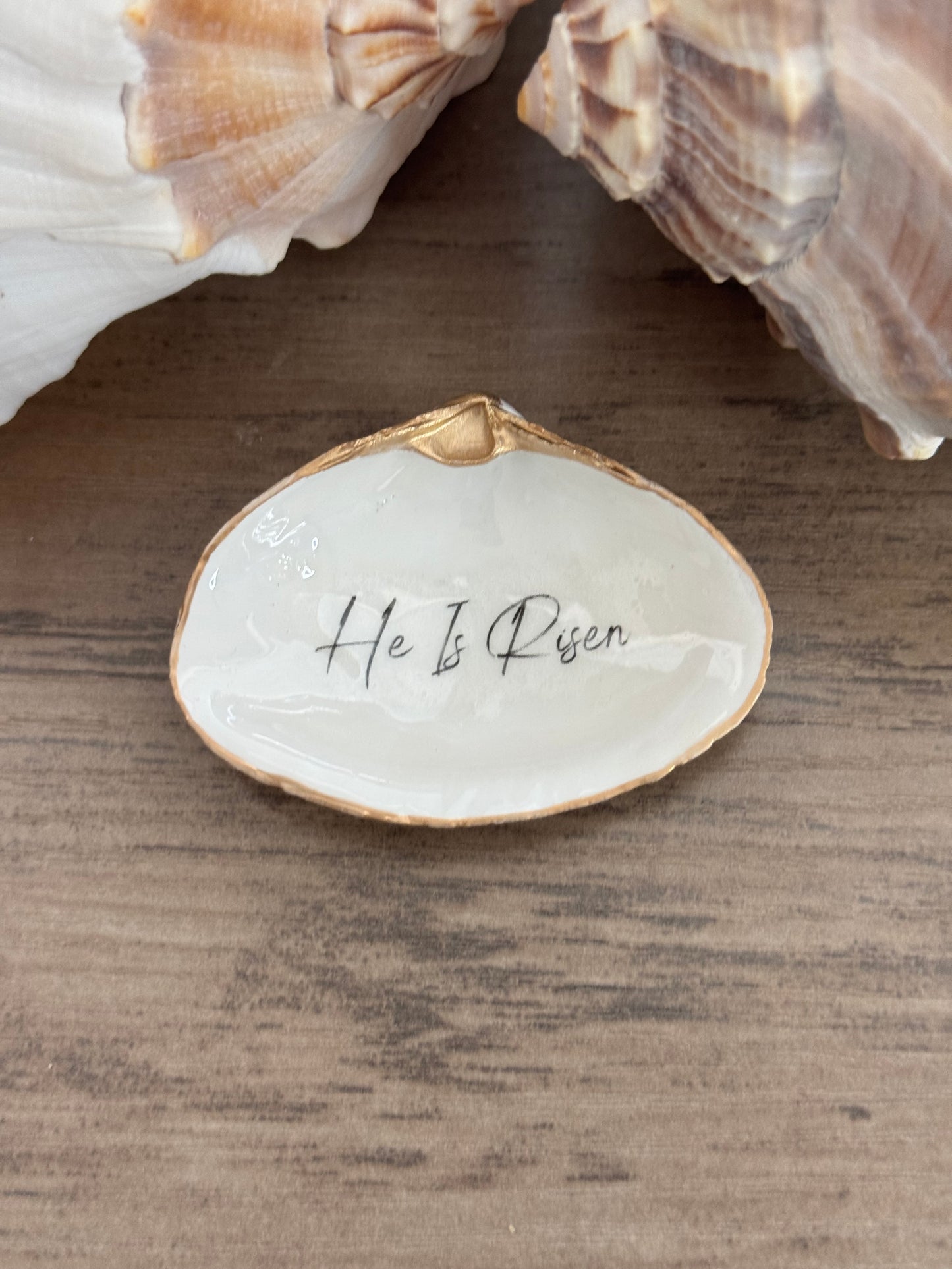 Clam Shell Trinket Tray