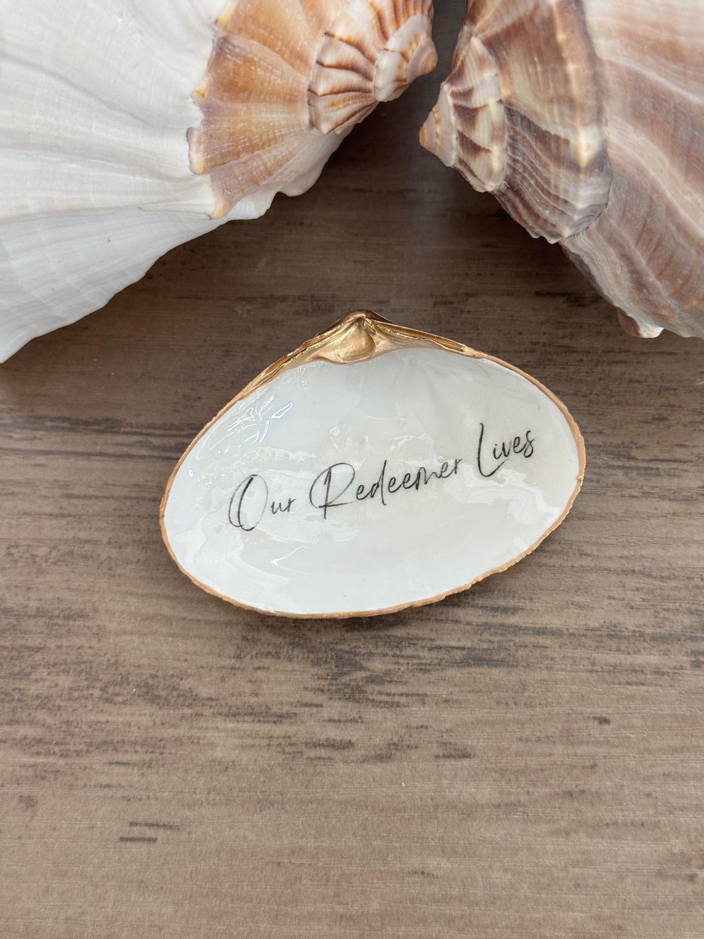 Clam Shell Trinket Tray