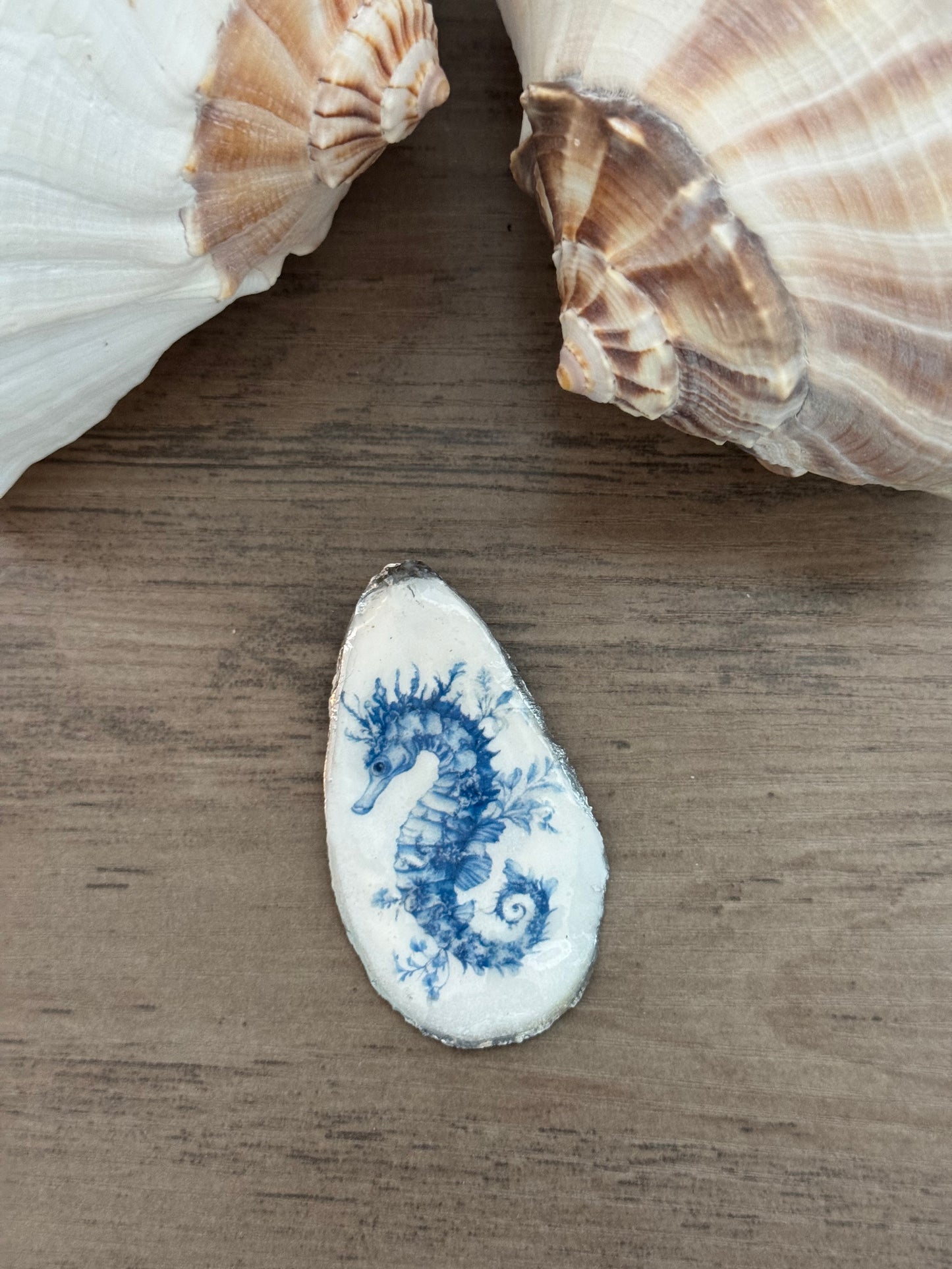 Coastal Shell Art Magnet