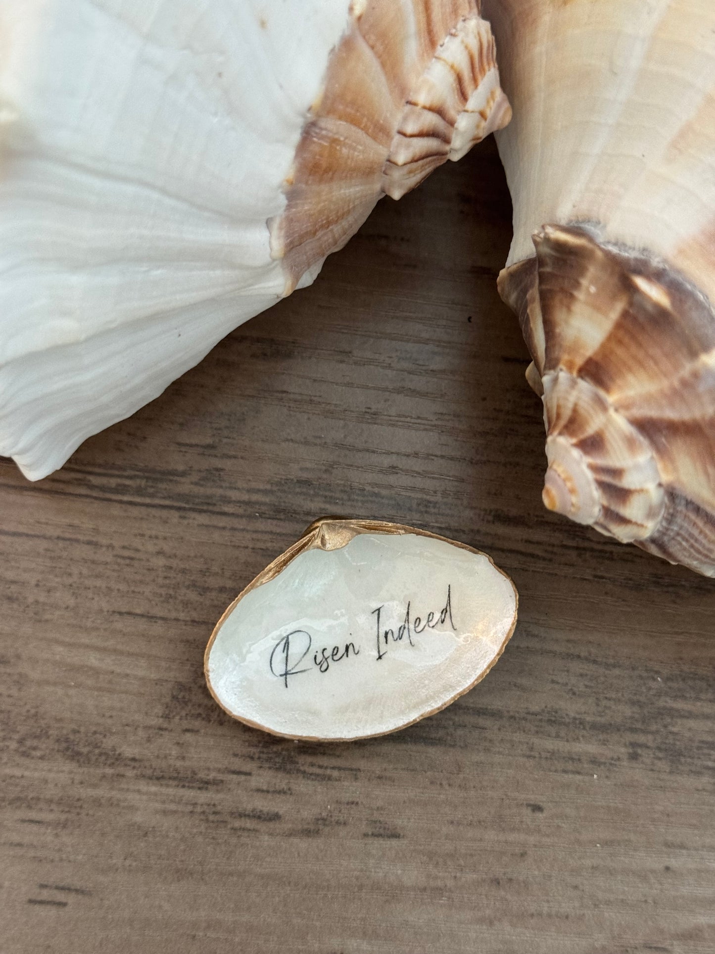 Faith Shell Art Magnet