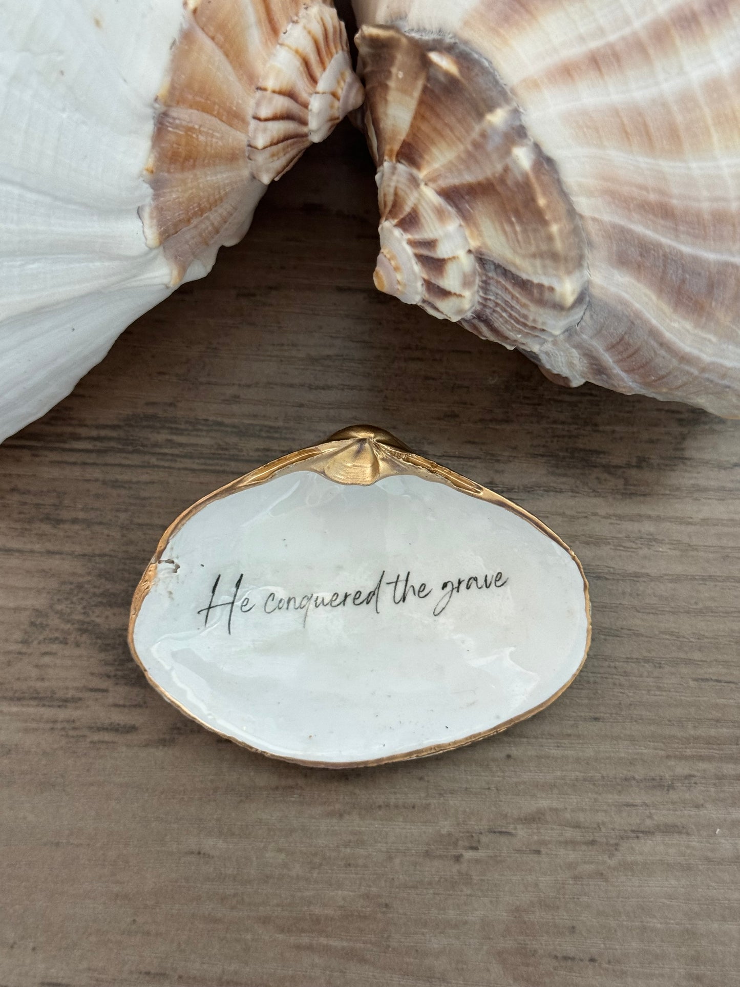 Clam Shell Trinket Tray