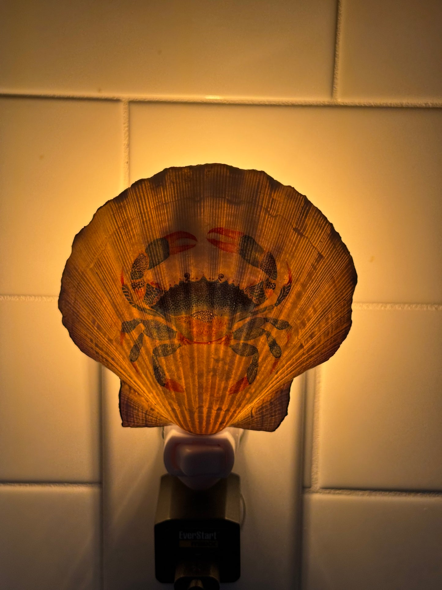 Coastal Glow Nightlight