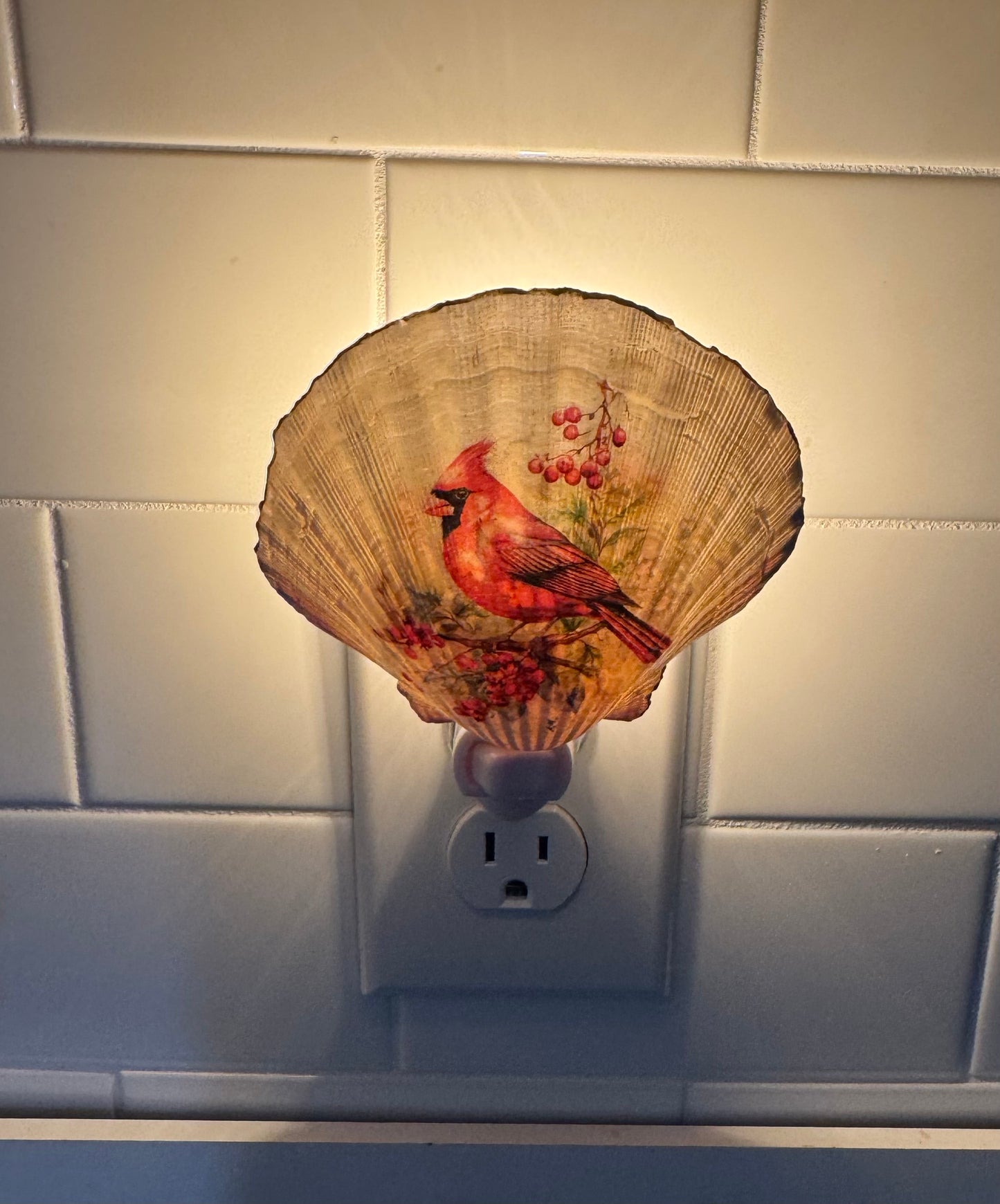 Coastal Glow Nightlight