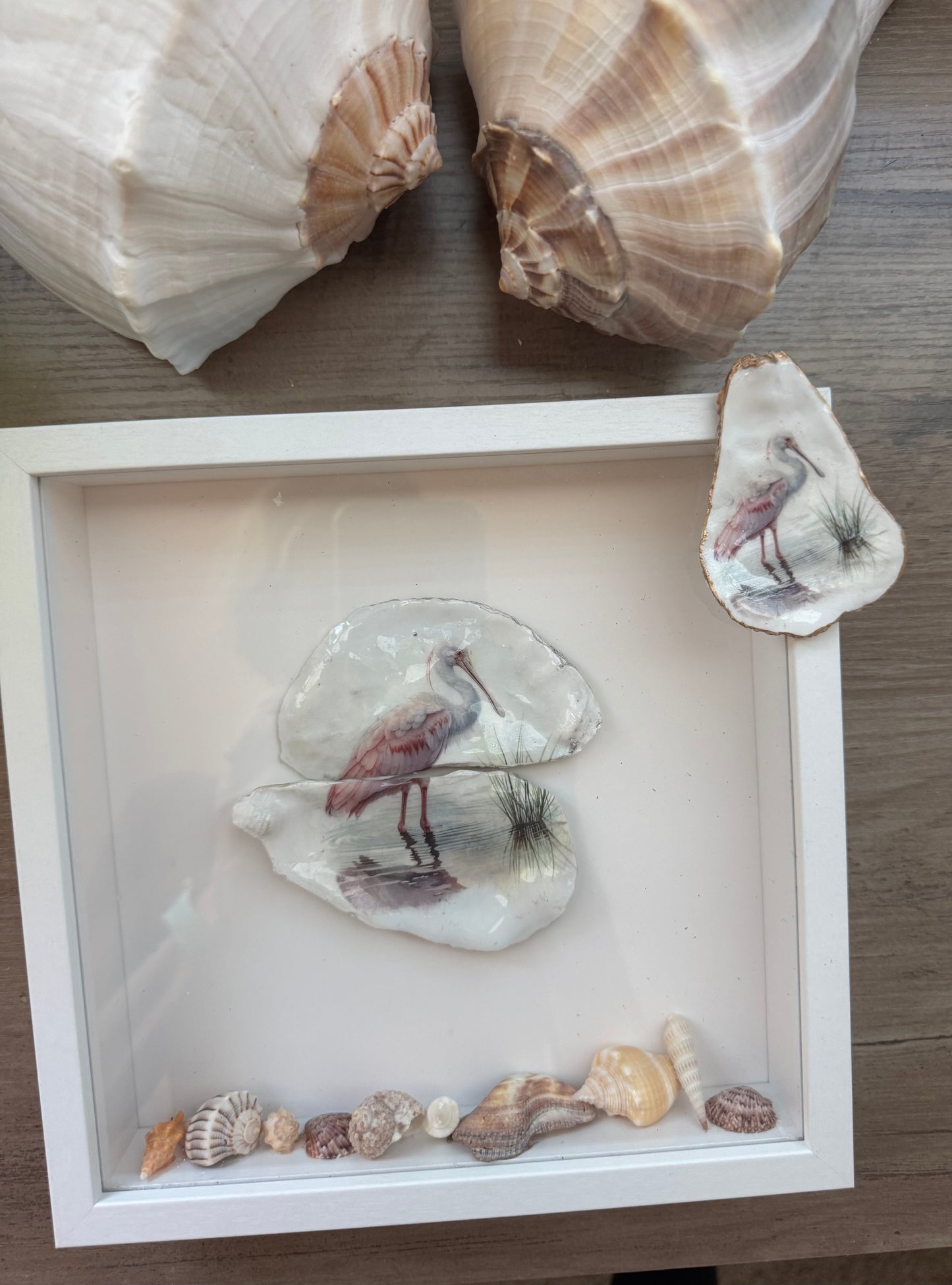 Shell Art Shadow Boxes