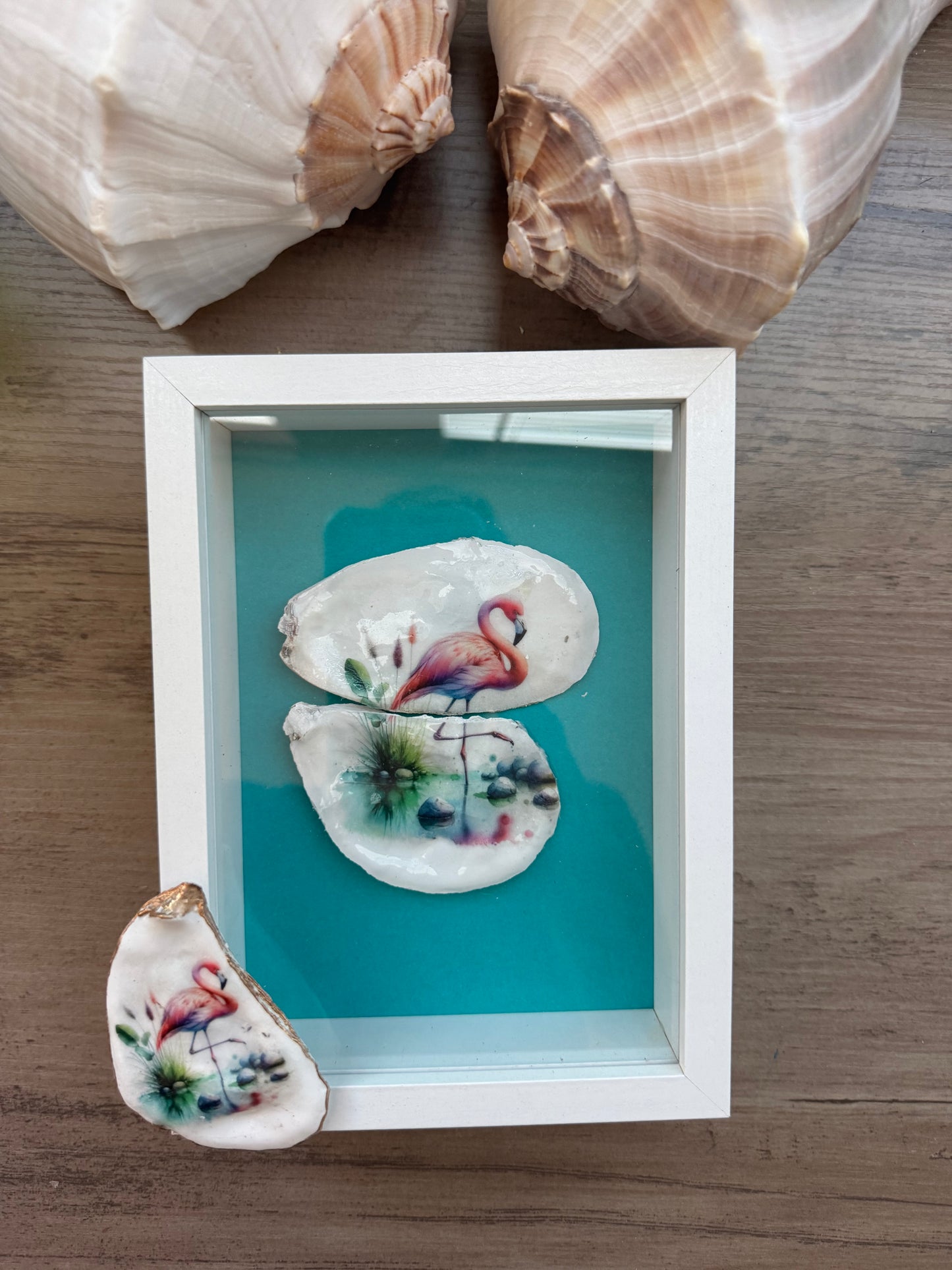 Shell Art Shadow Boxes