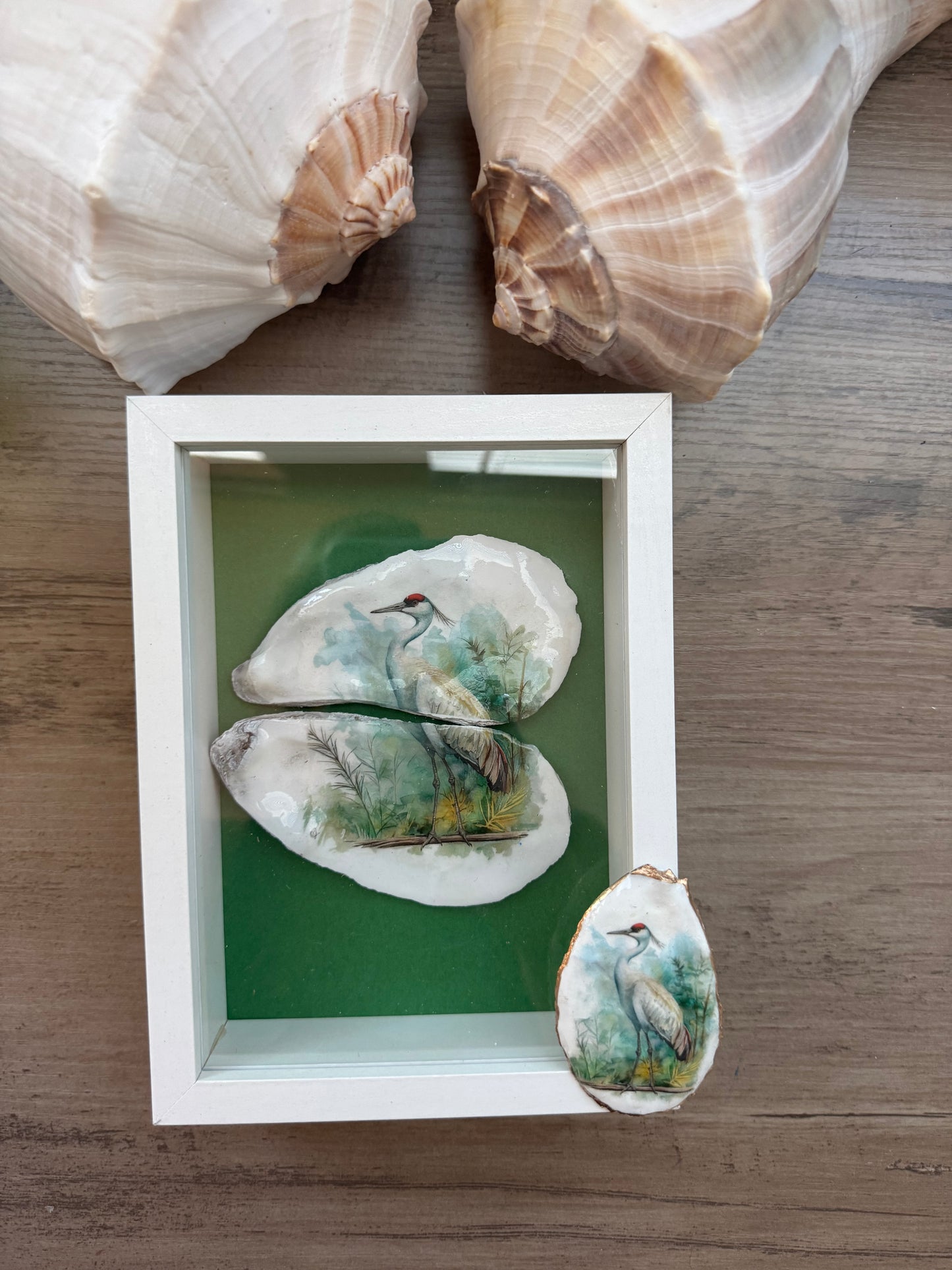 Shell Art Shadow Boxes