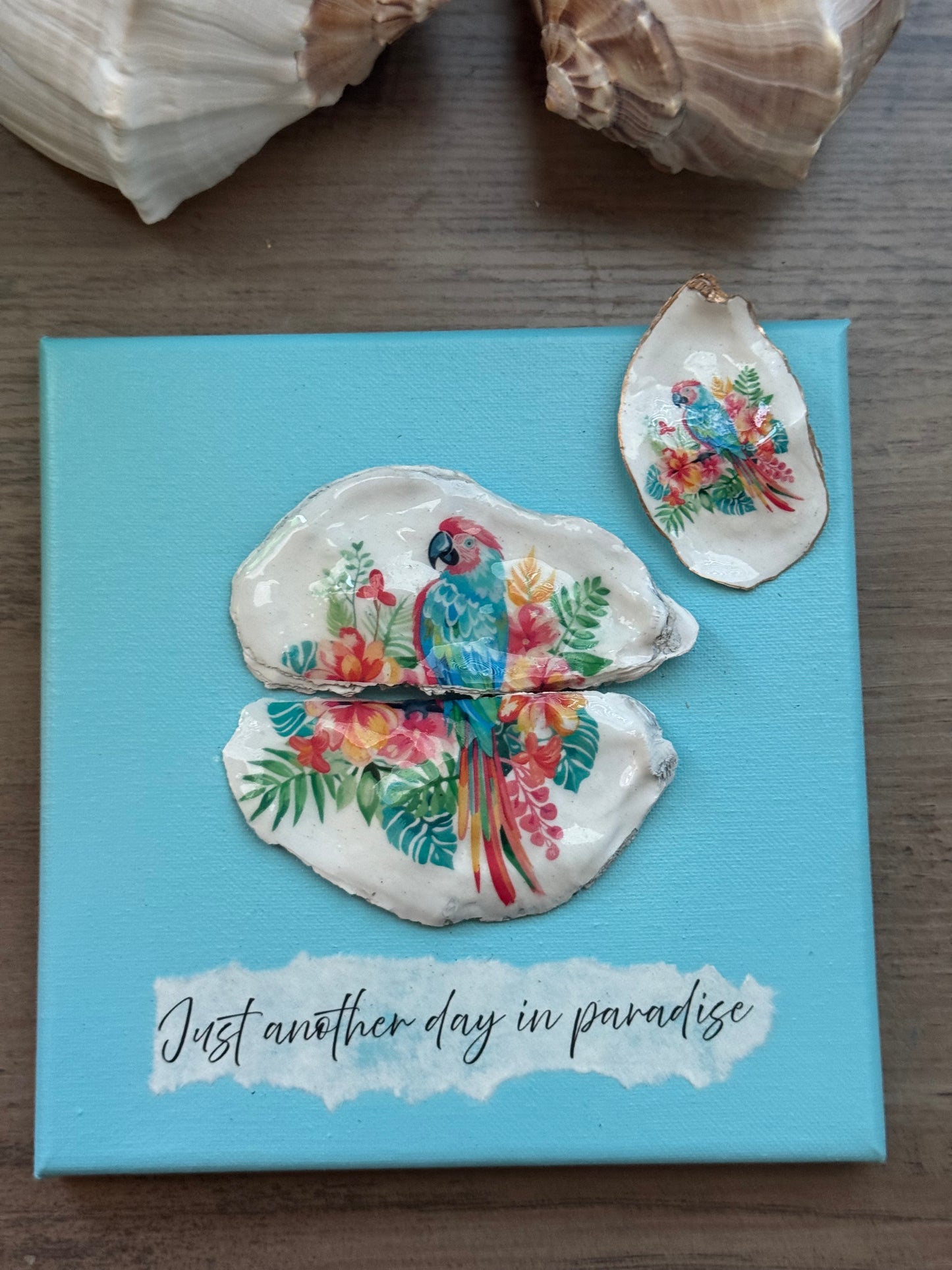 Coastal Shell Canvas Art