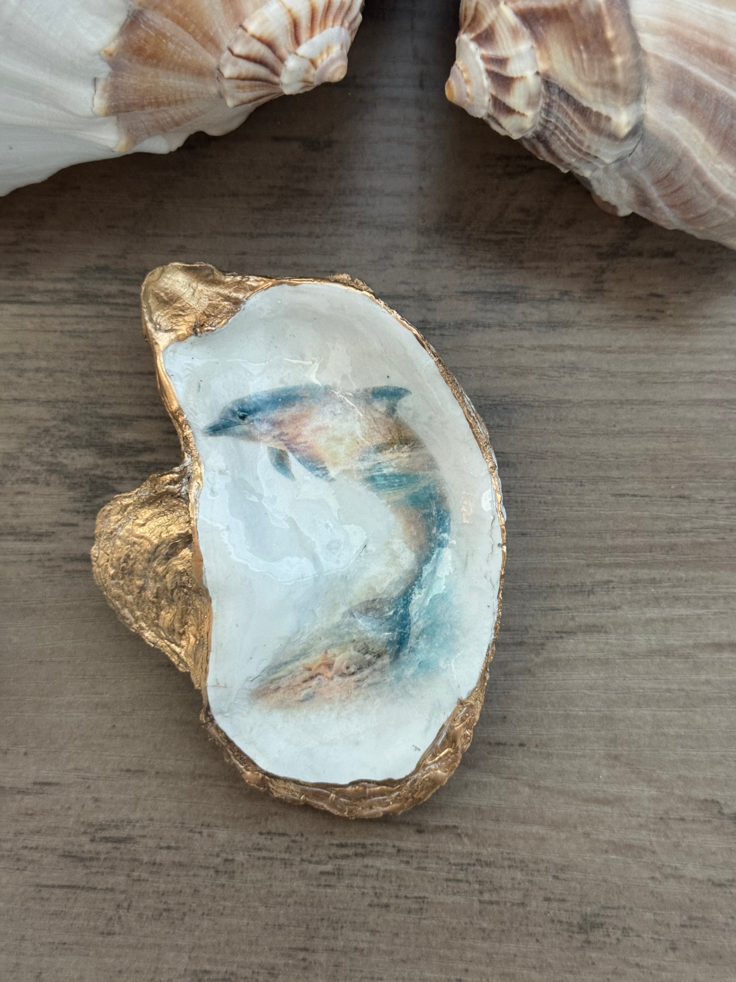 Seaside Expressions Oyster Shell