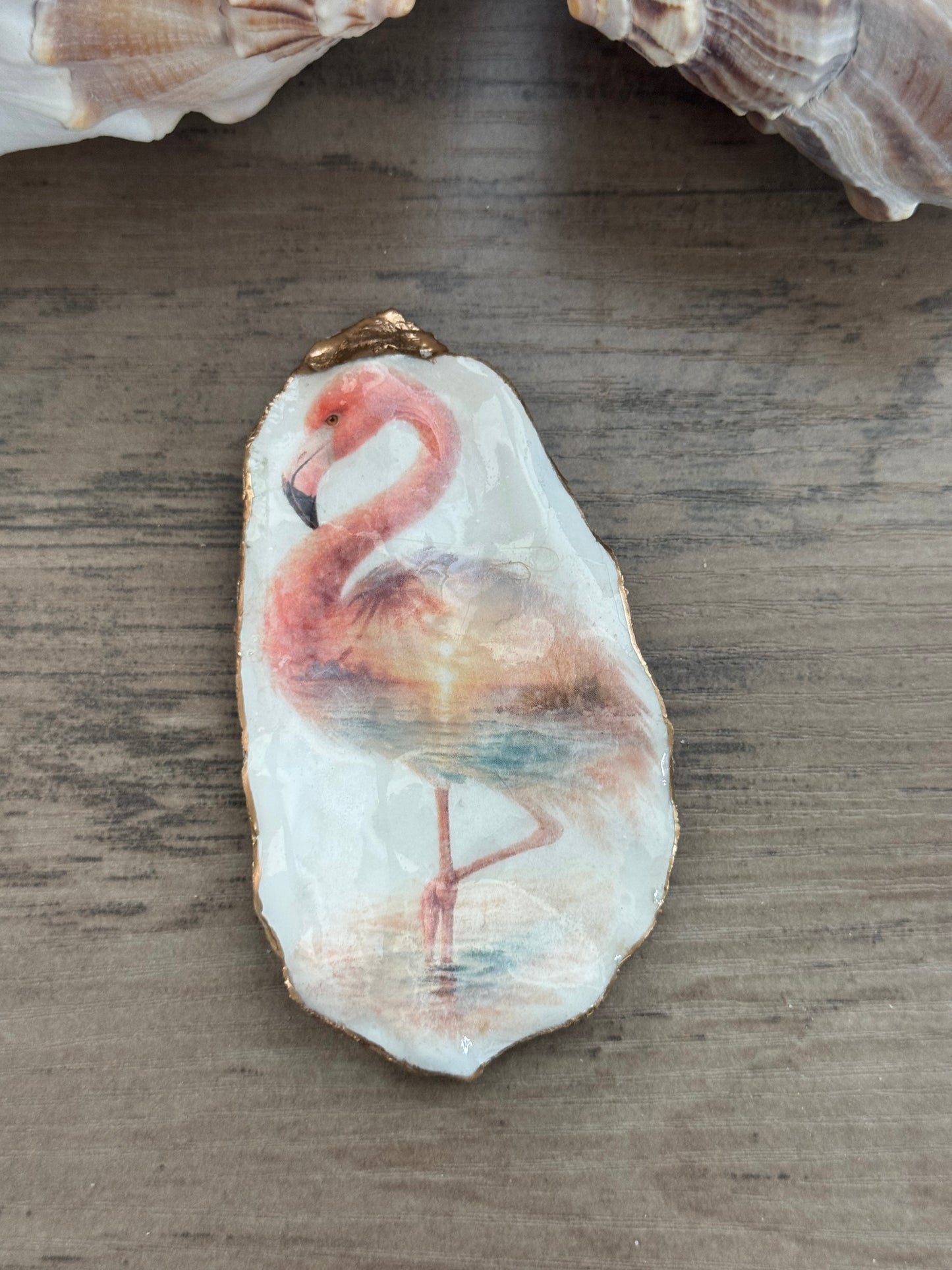 Seaside Expressions Oyster Shell
