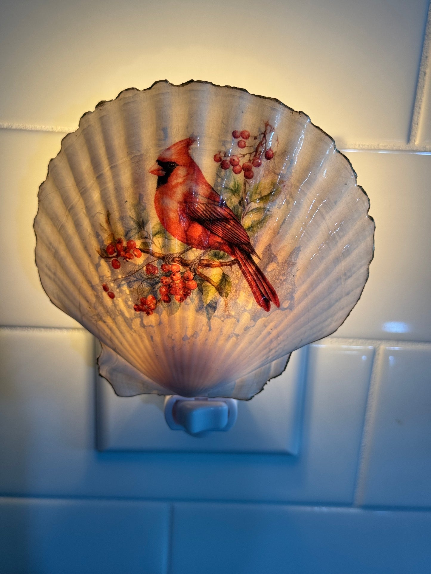Coastal Glow Nightlight