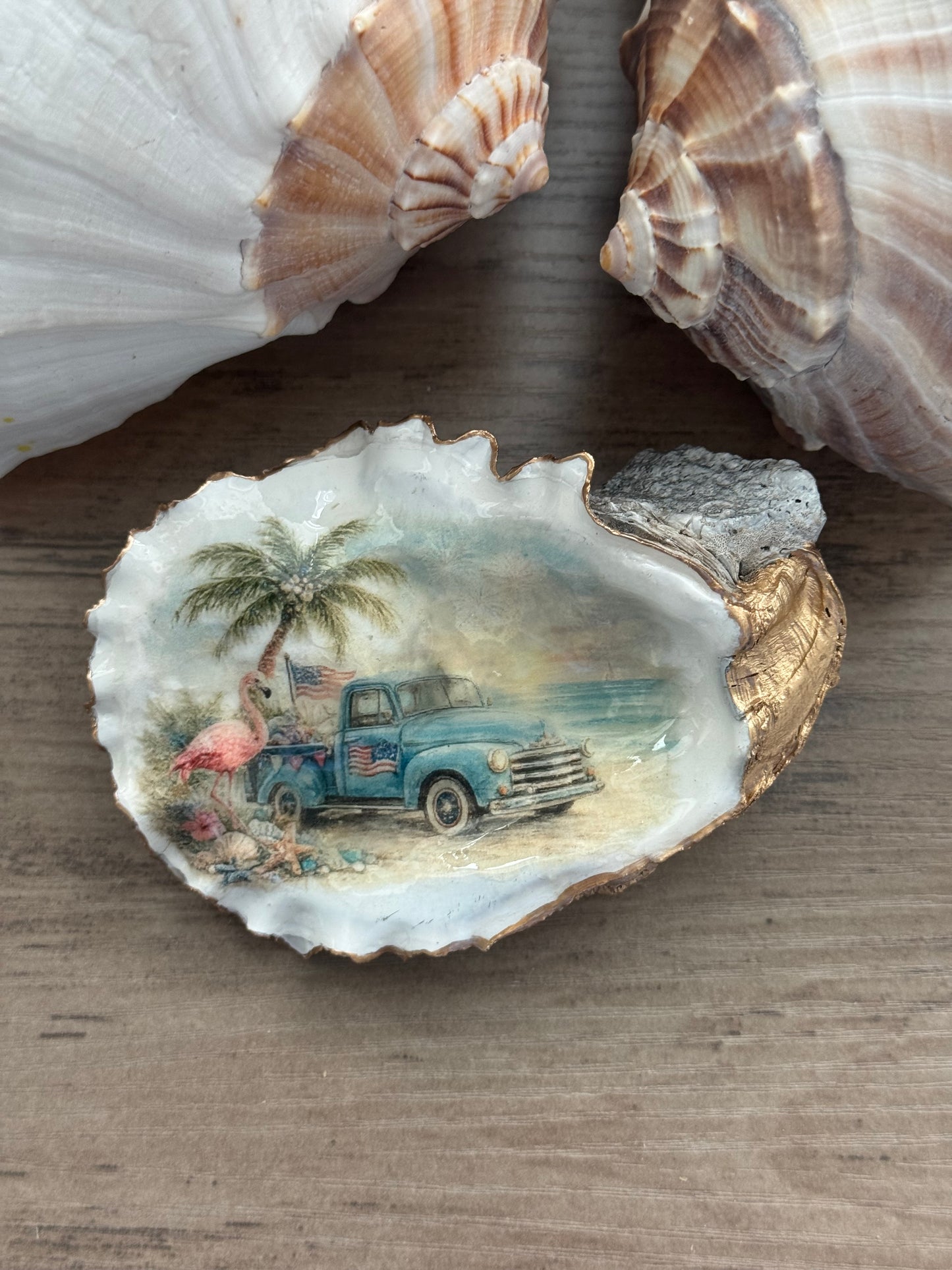 Seaside Cottage Shell