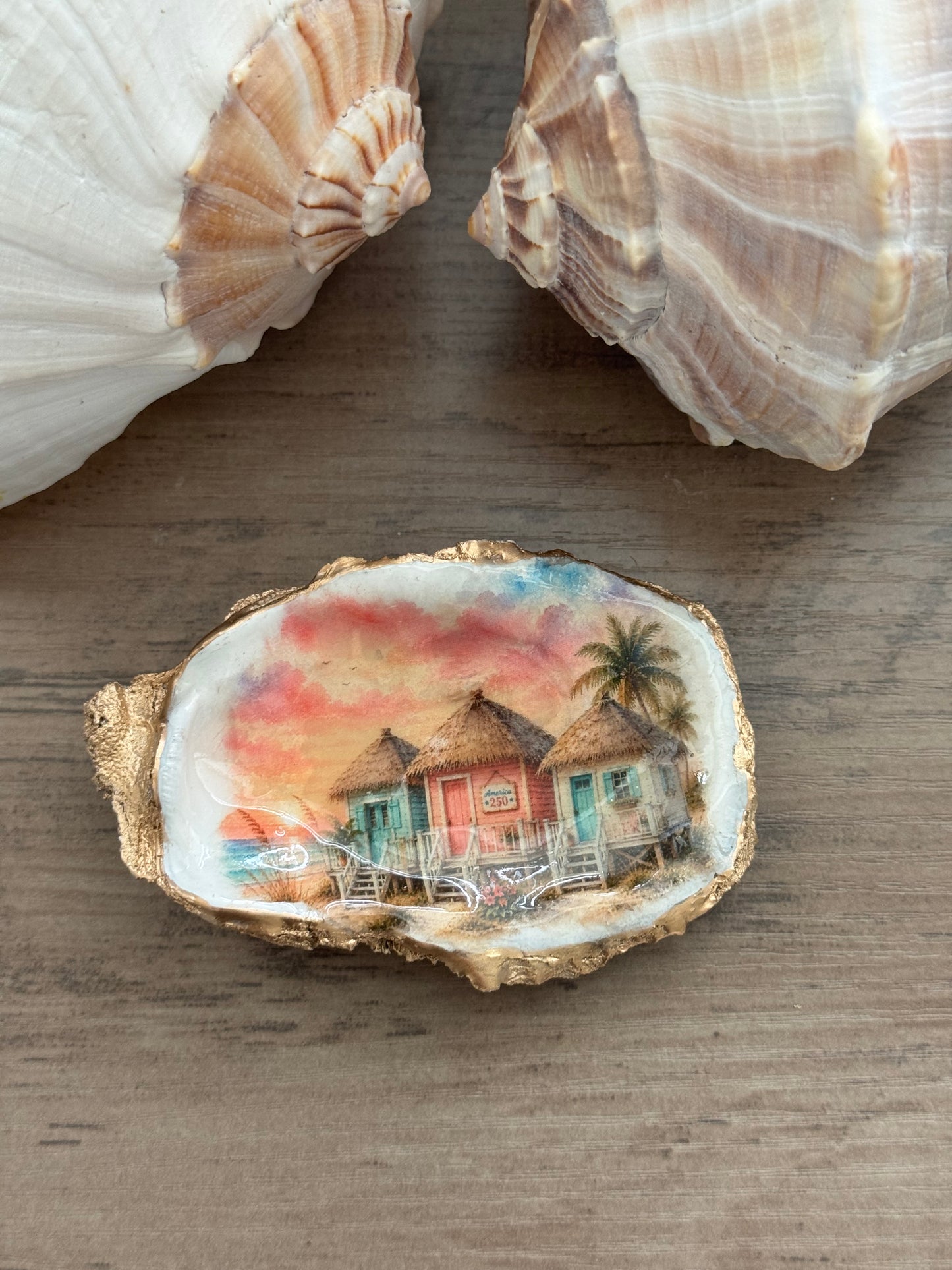Seaside Cottage Shell