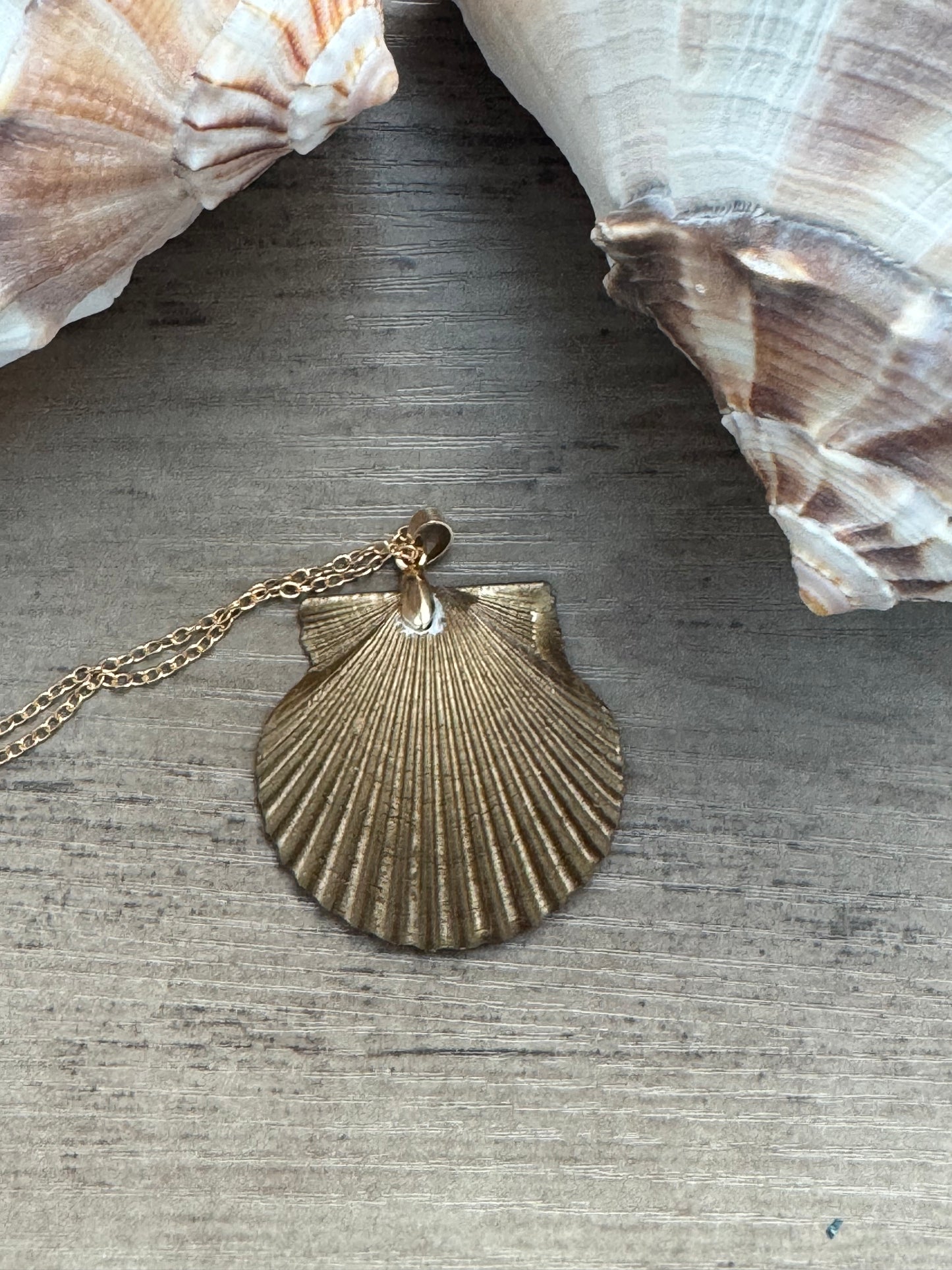 Coastal Treasures Shell Necklace