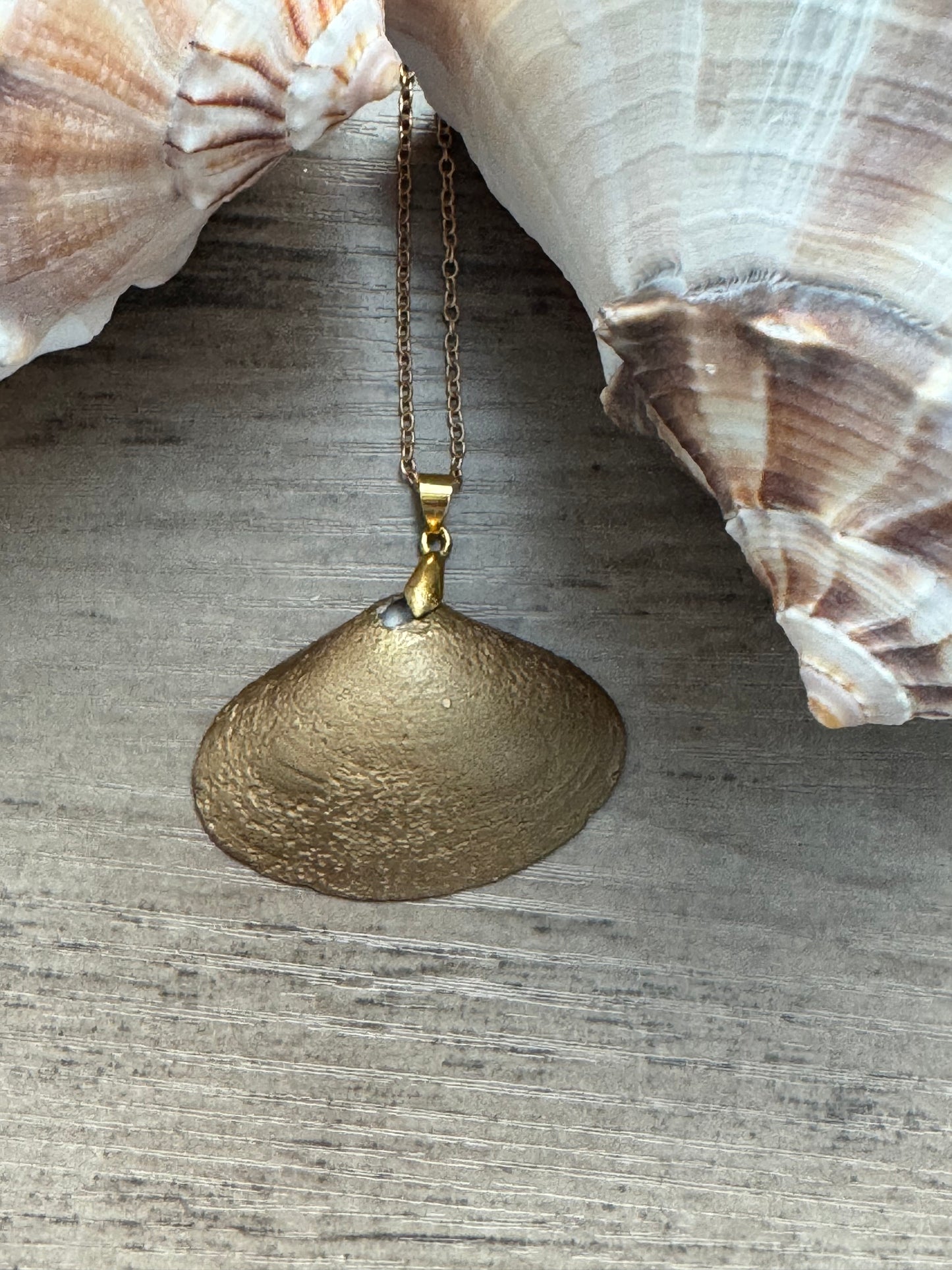 Coastal Treasures Shell Necklace