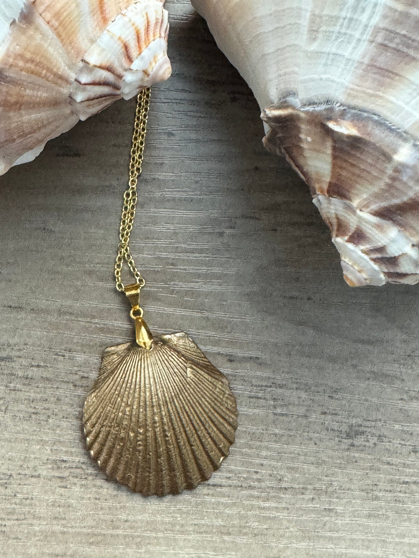 Coastal Treasures Shell Necklace