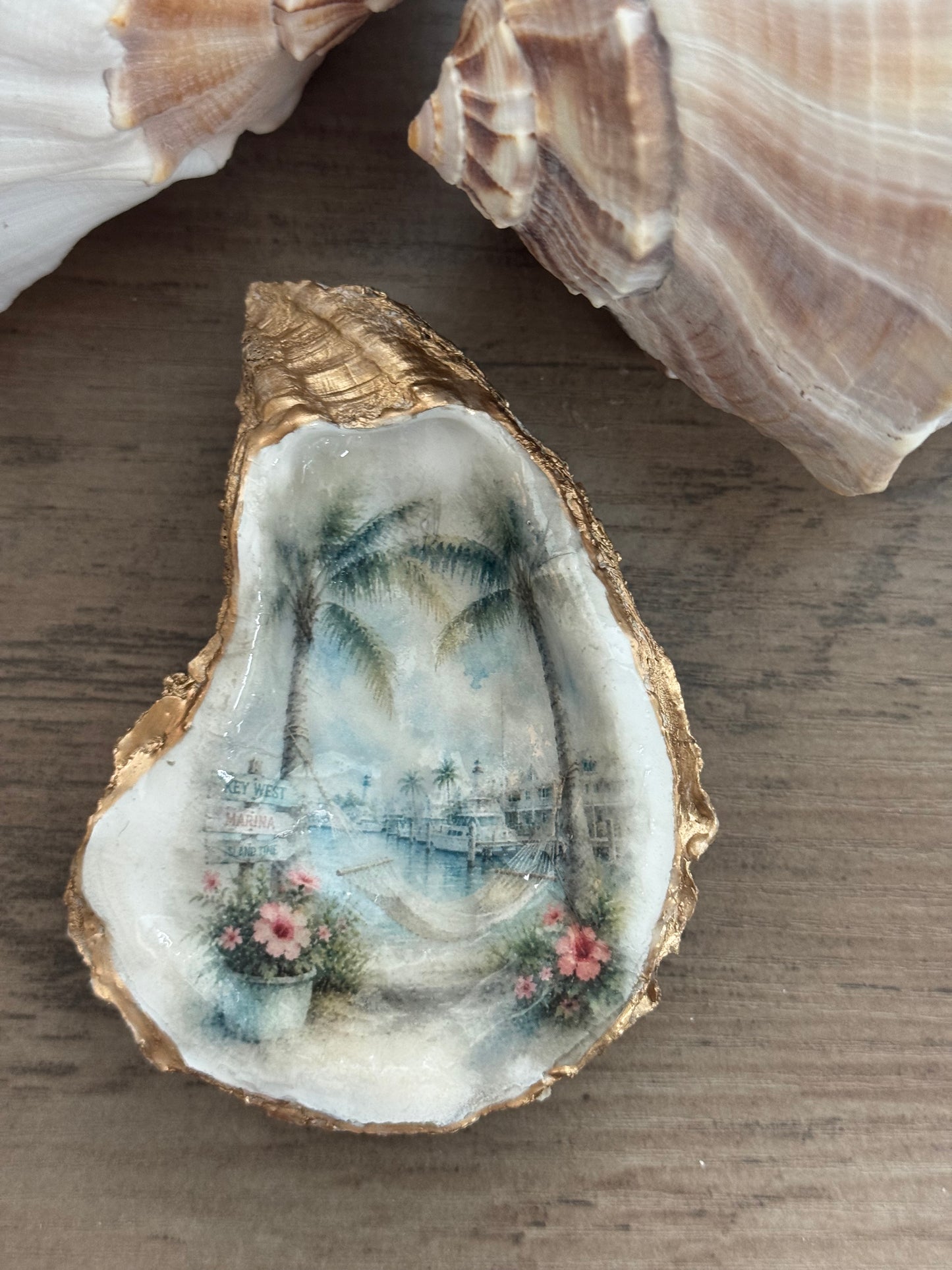 Marina & Hammock Oyster Shell