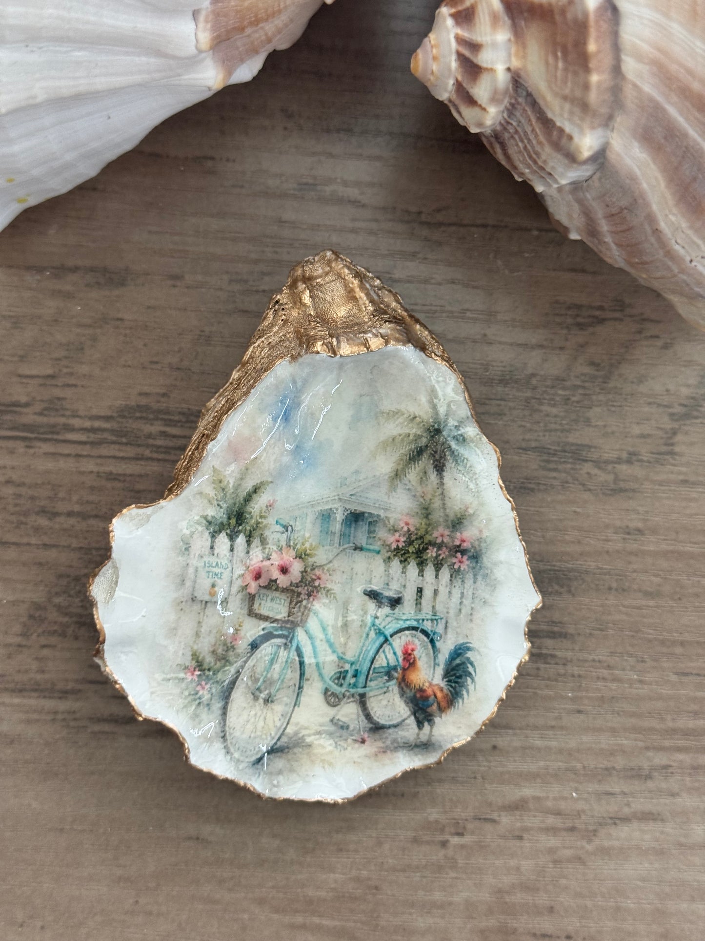 Teal Cottage Oyster Shell