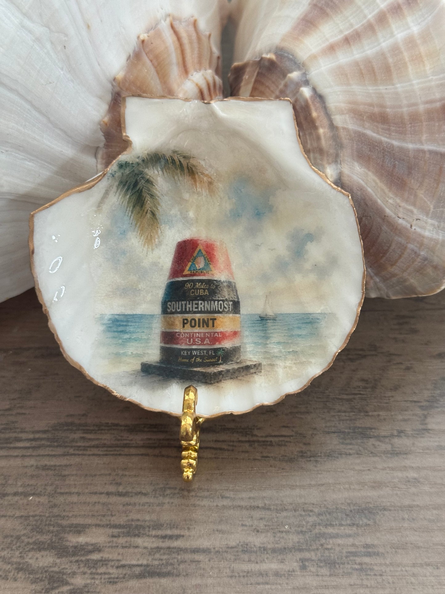Southernmost Point Scallop Shell