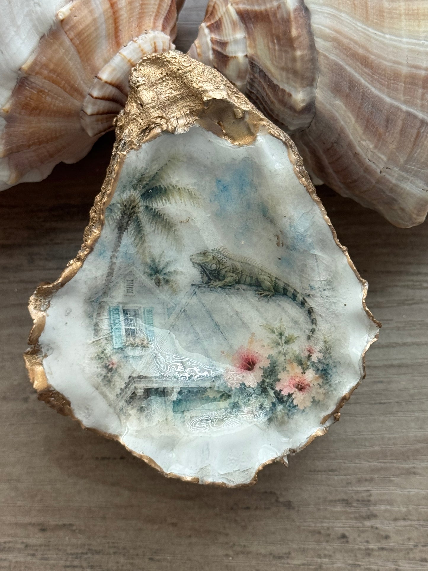Iguana on Roof Oyster Shell
