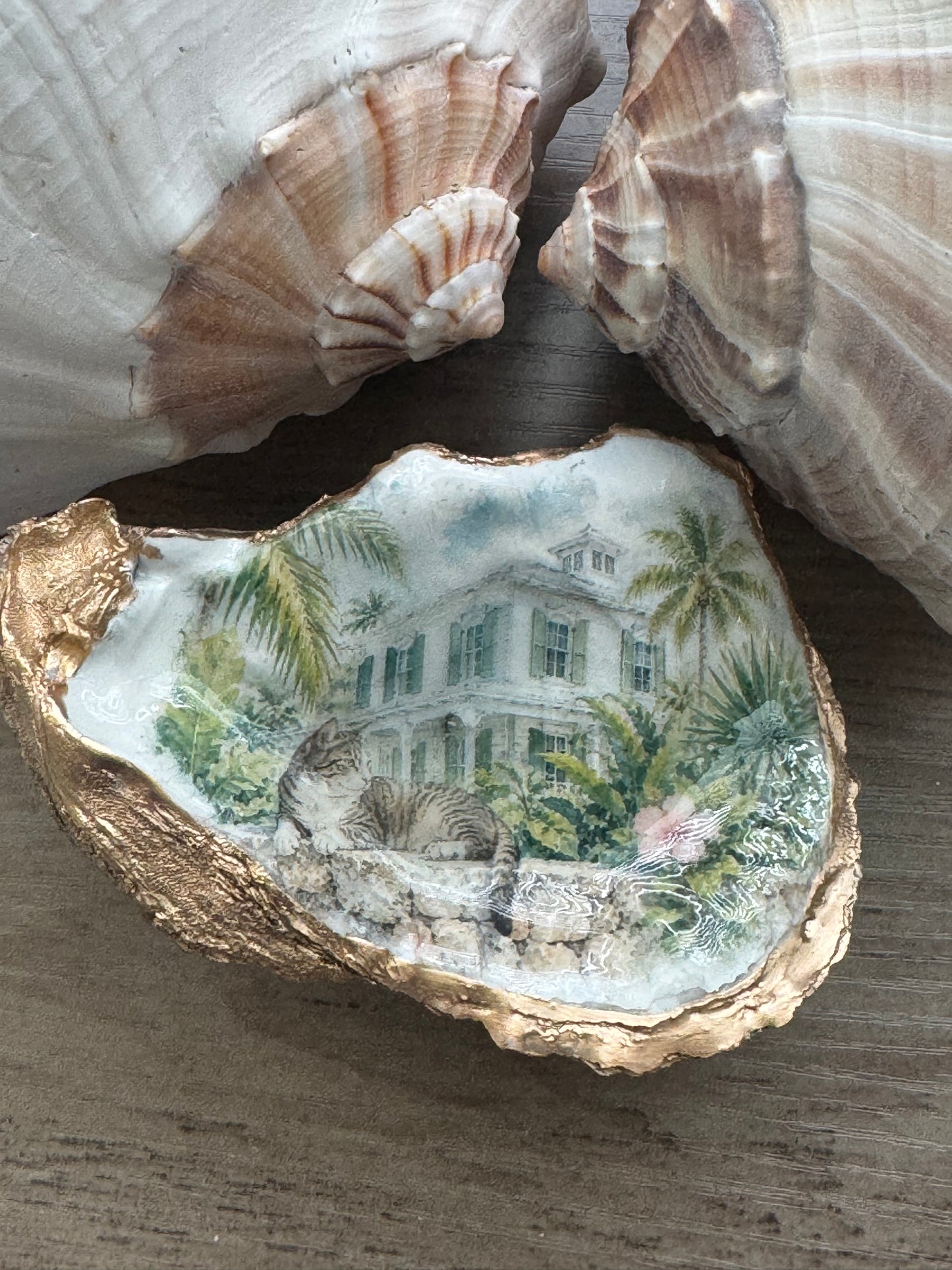 Hemmingway Cat Oyster Shell