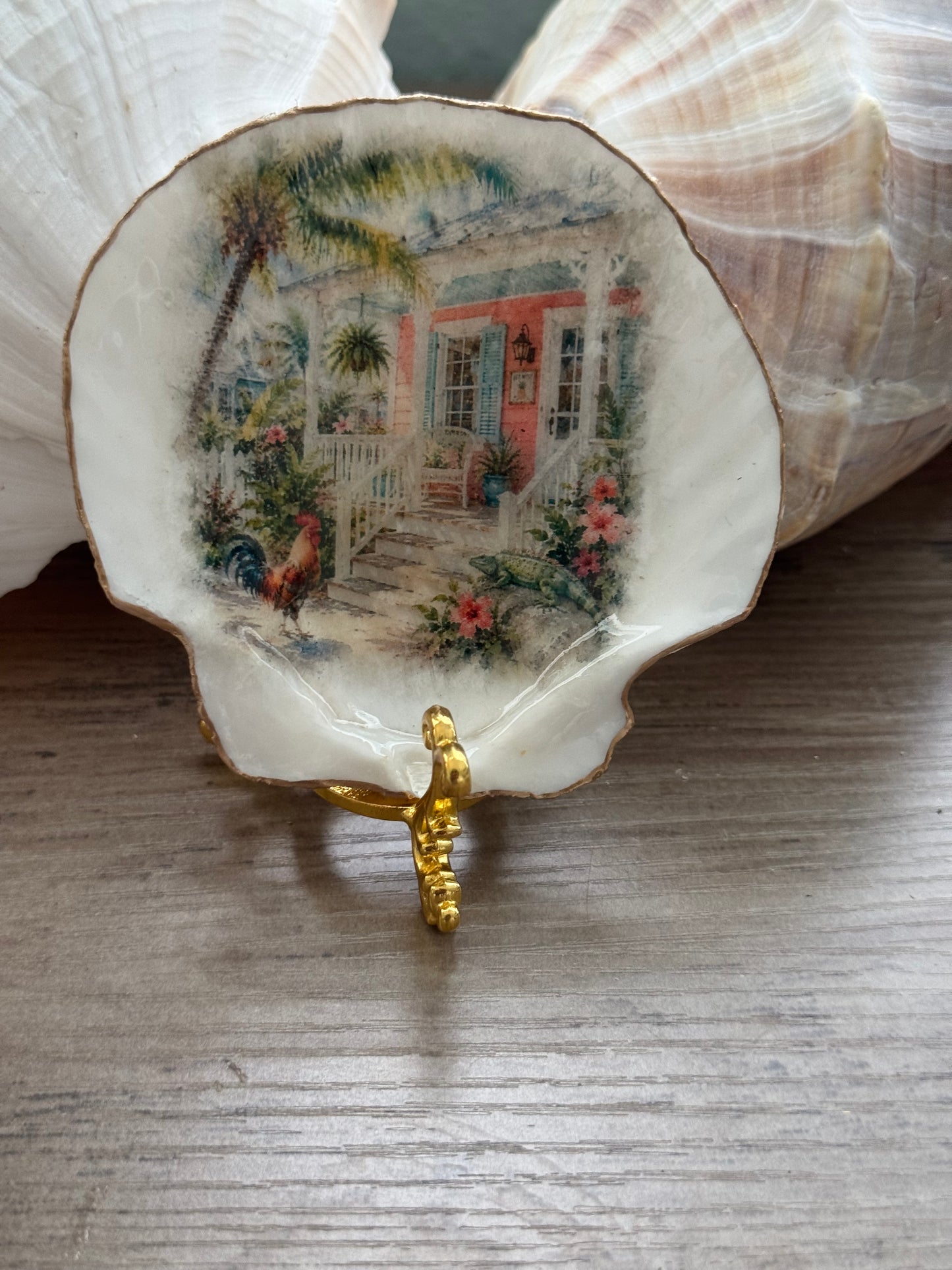 Peach Cottage Scallop Shell
