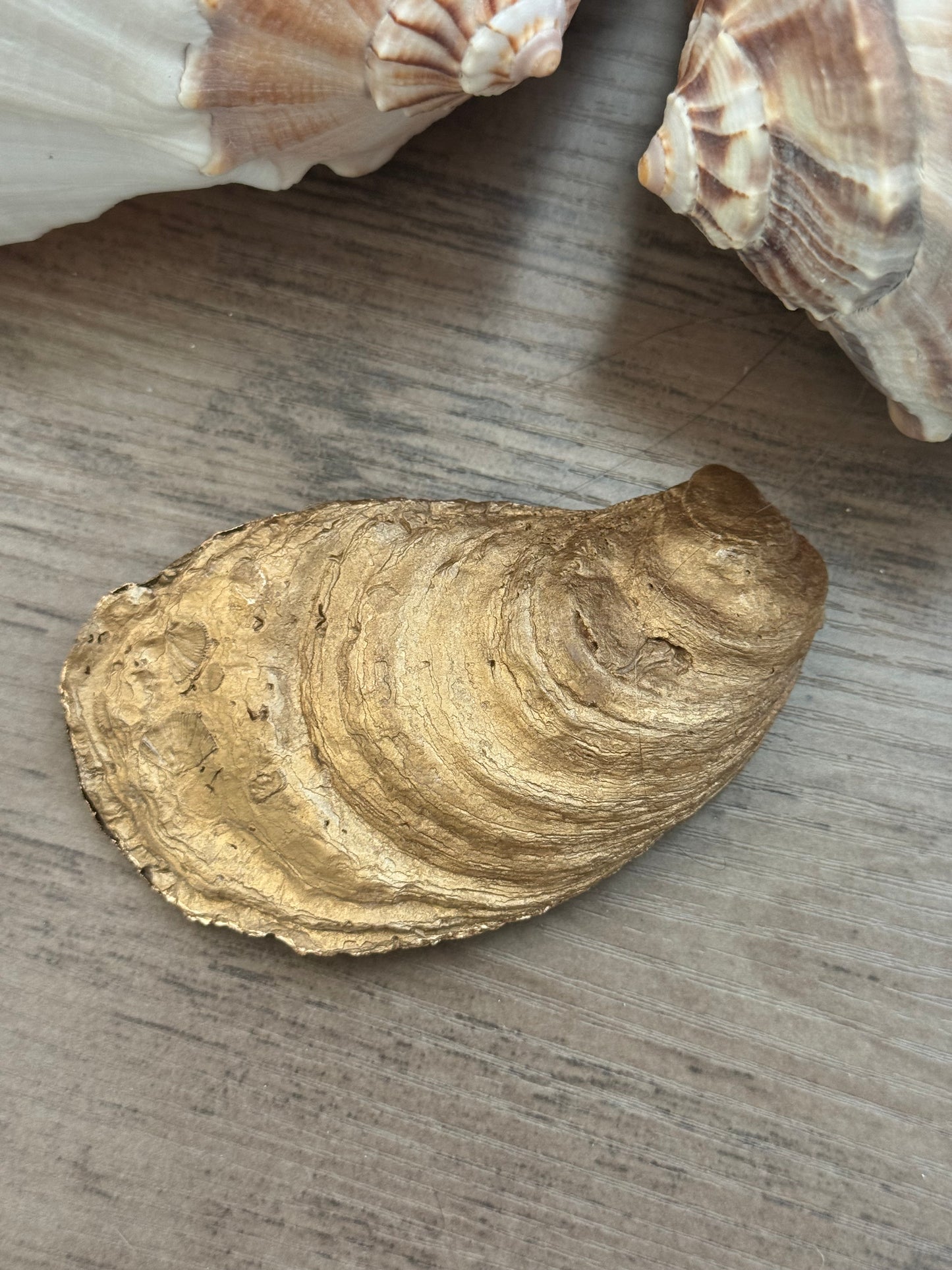 San Juan Personalized Shell