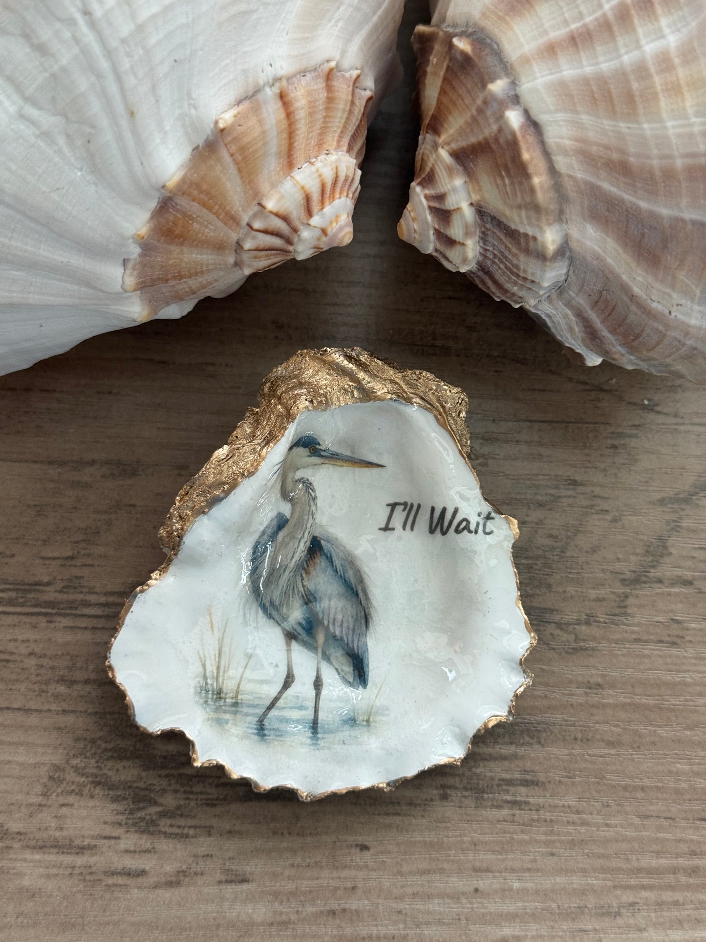 Coastal Attitude Oyster Shell Trinket Dish