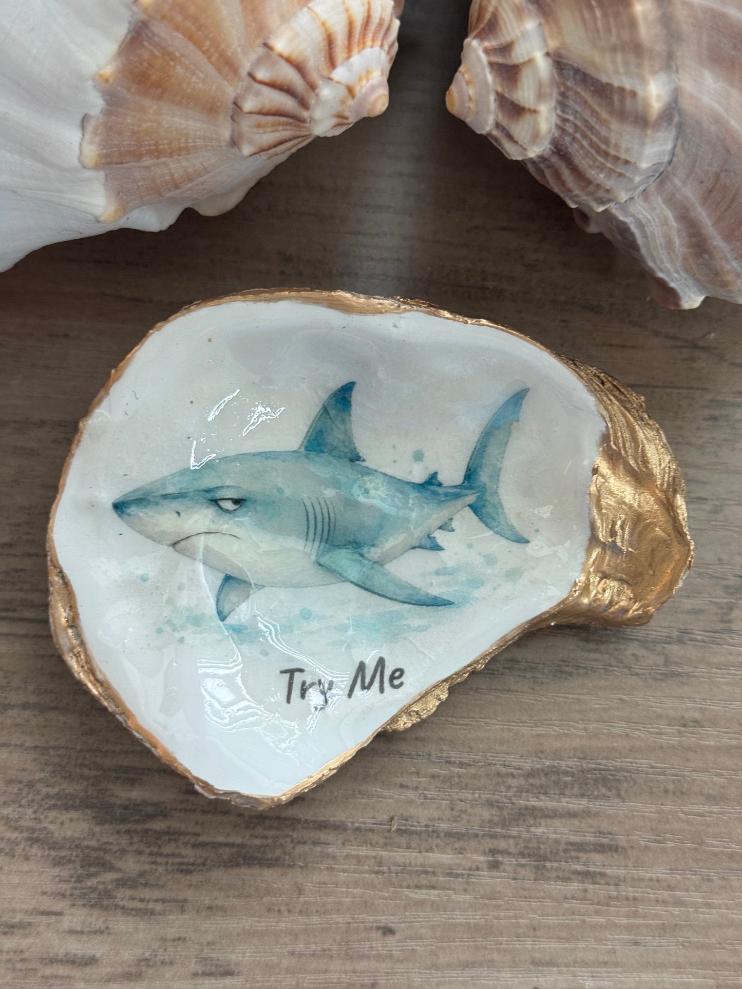 Coastal Attitude Oyster Shell Trinket Dish