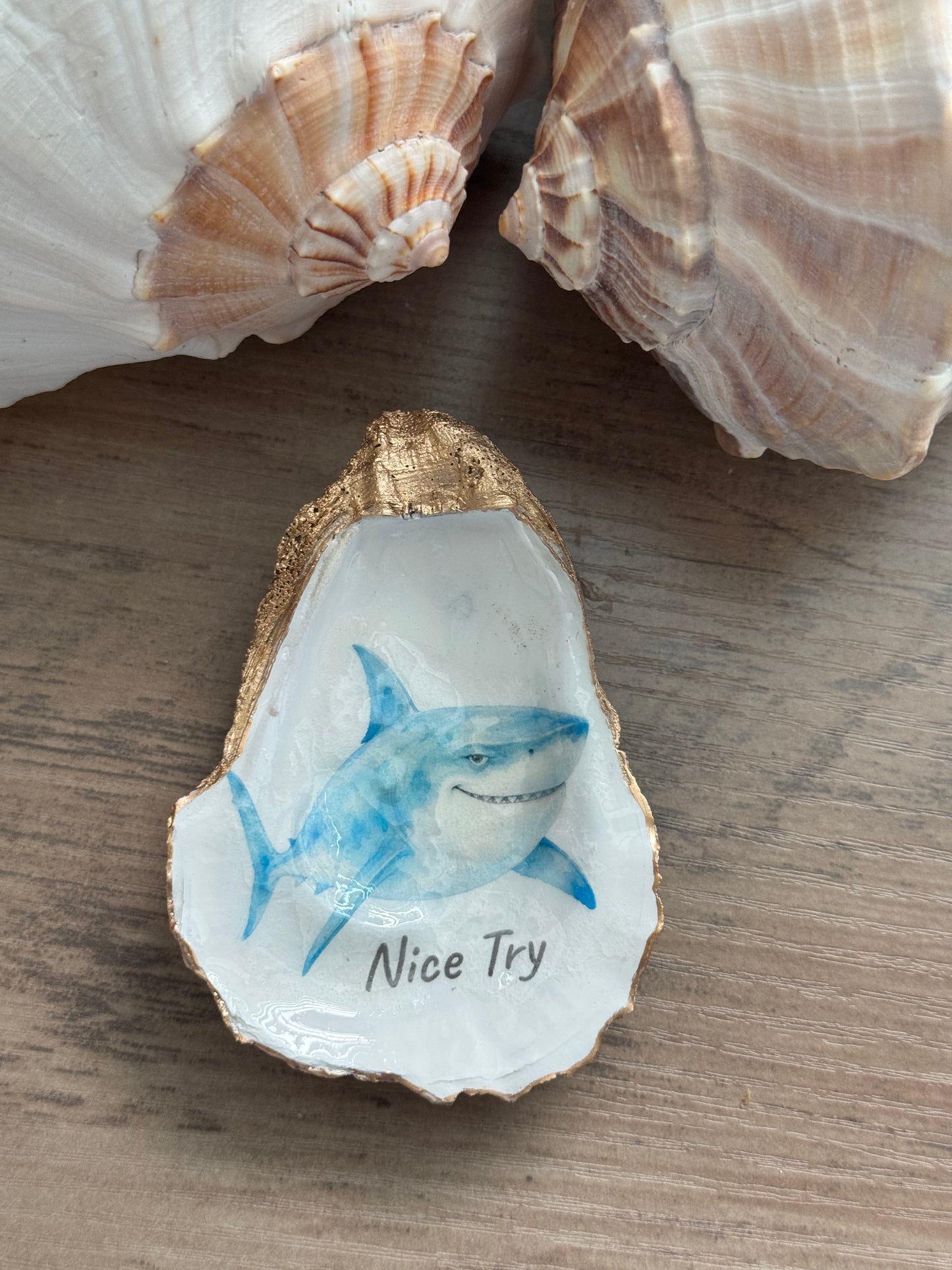 Coastal Attitude Oyster Shell Trinket Dish