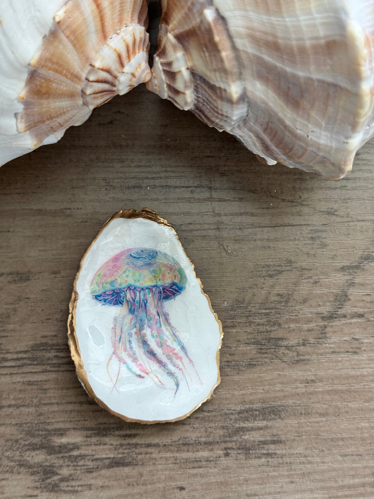 Coastal Shell Art Magnet