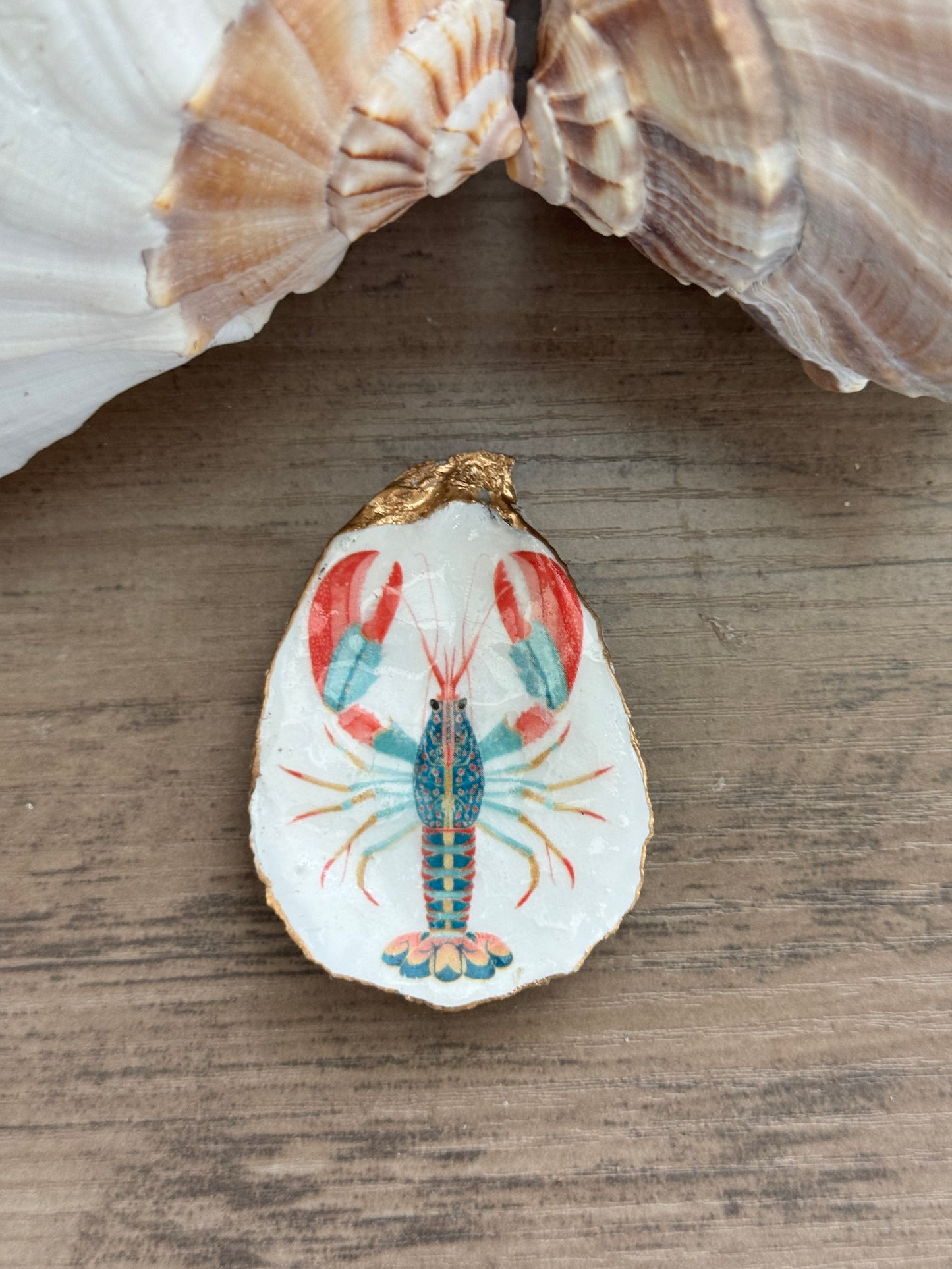 Coastal Shell Art Magnet