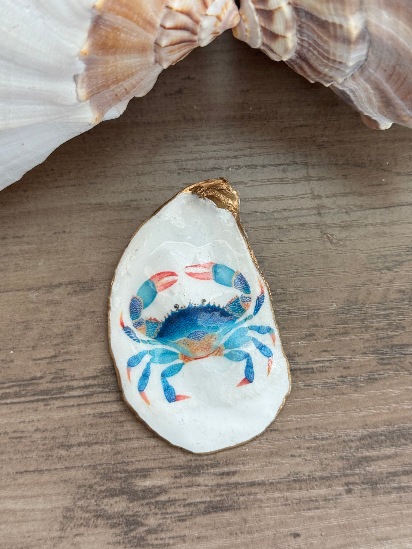Coastal Shell Art Magnet