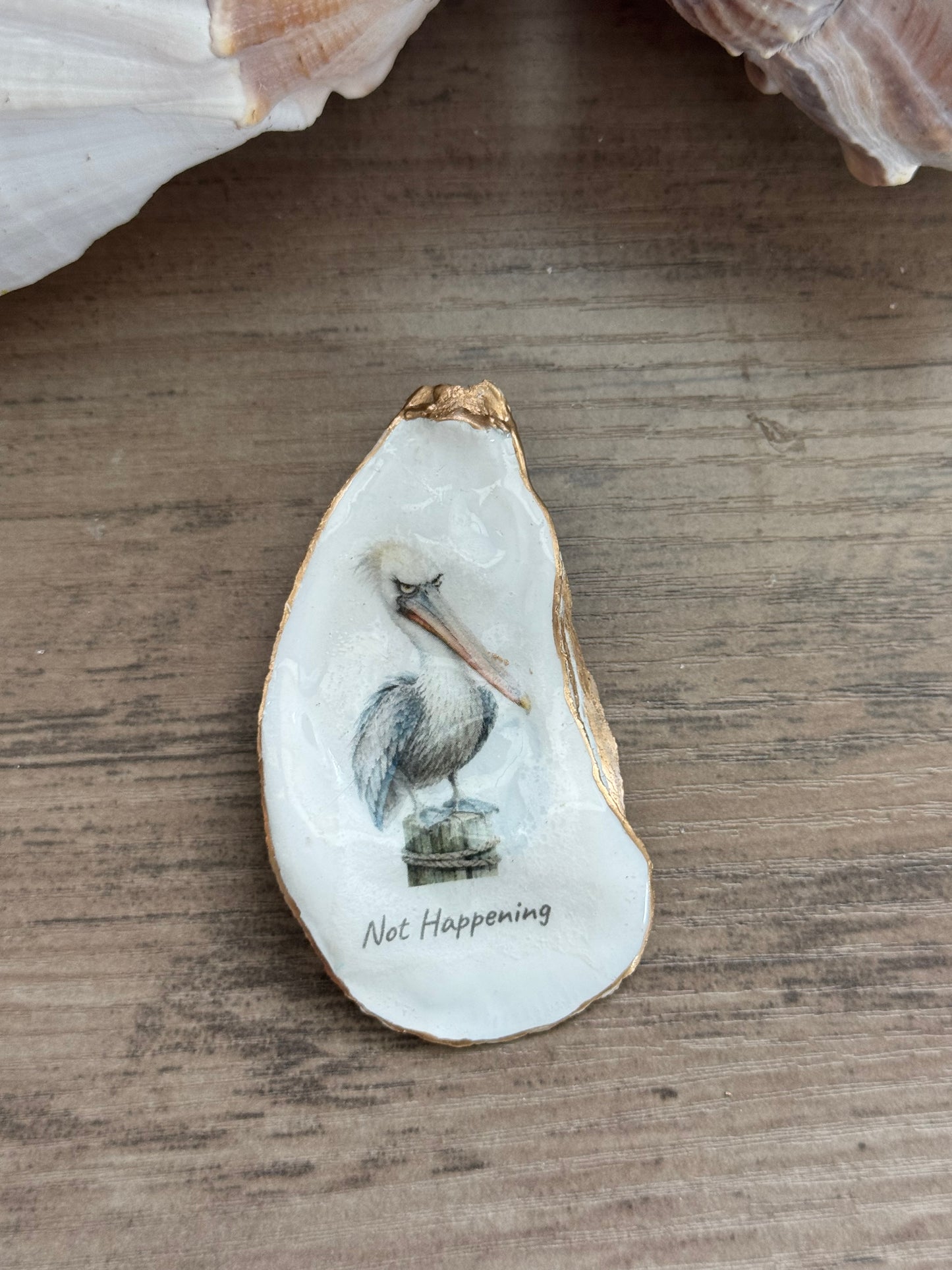 Coastal Attitude Magnet