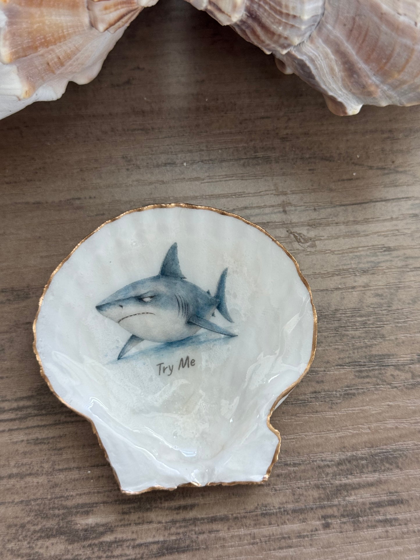Coastal Attitude Magnet