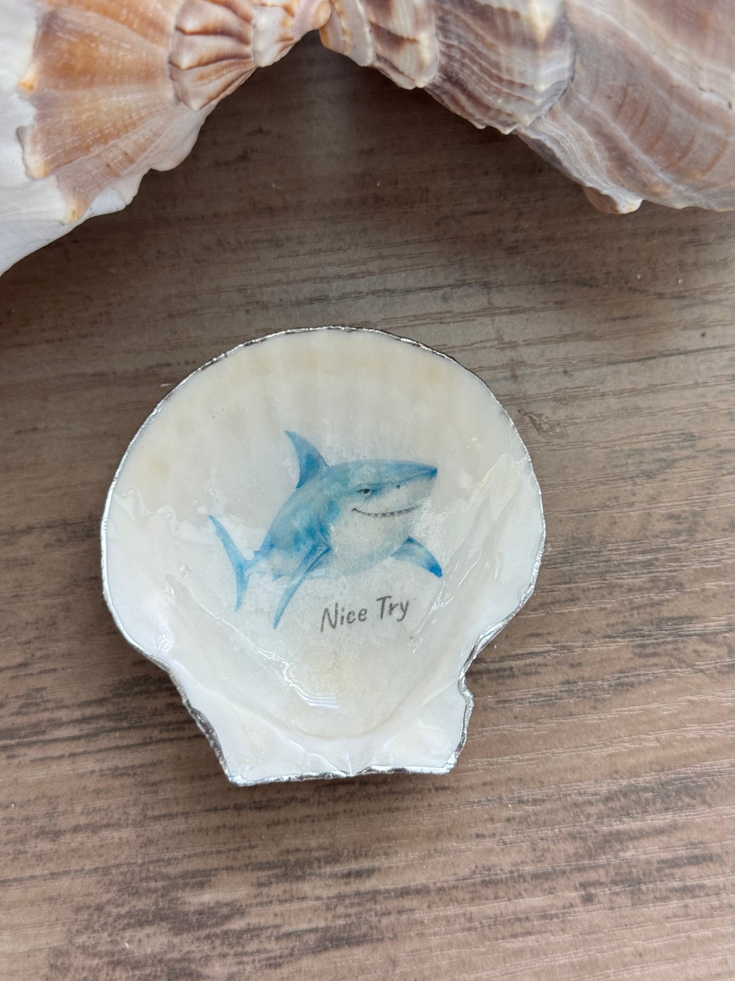Coastal Attitude Magnet