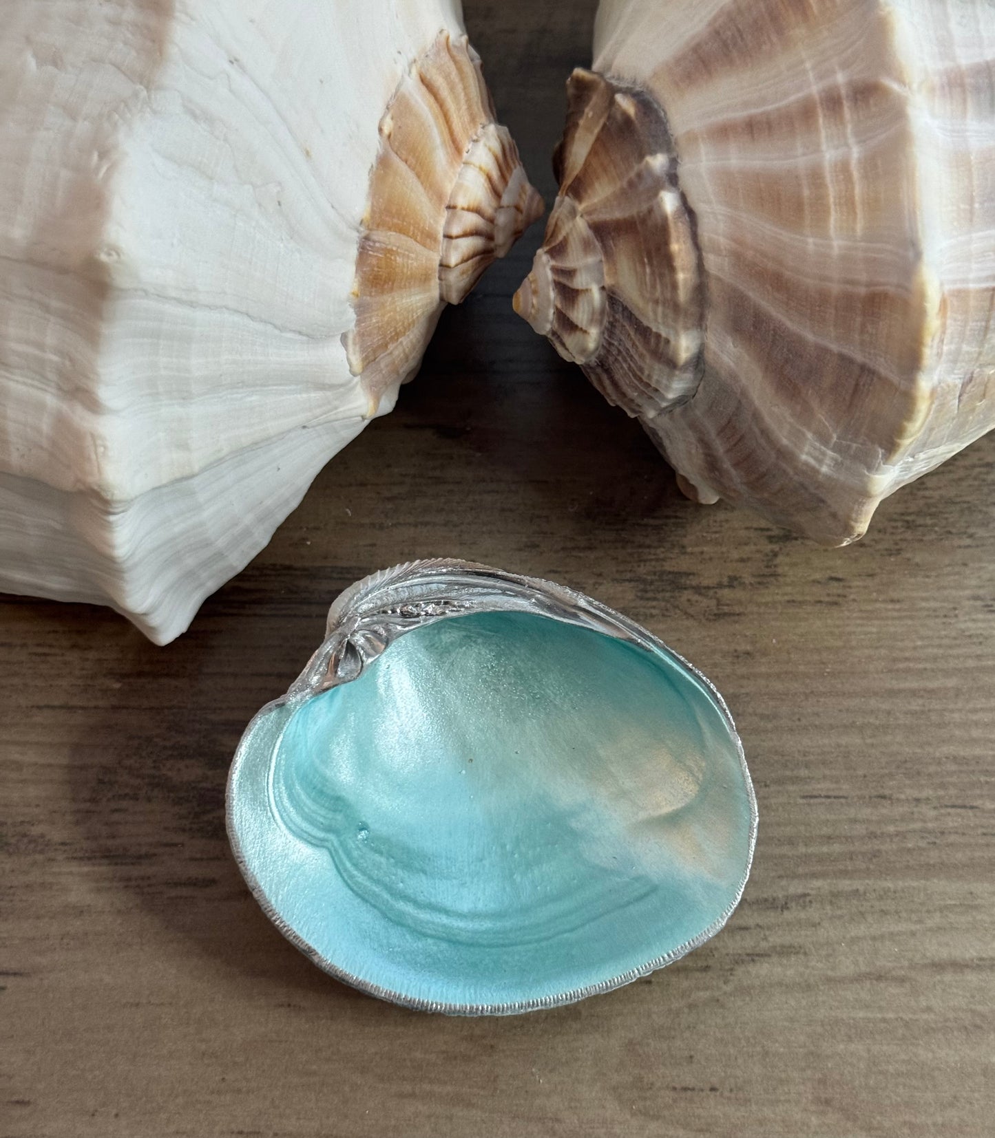 Seaside Expressions Trinket Tray