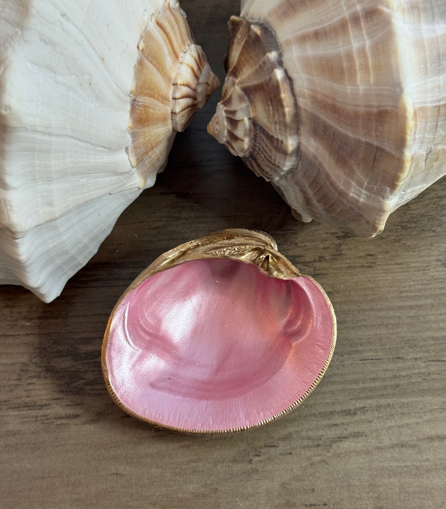 Seaside Expressions Trinket Tray