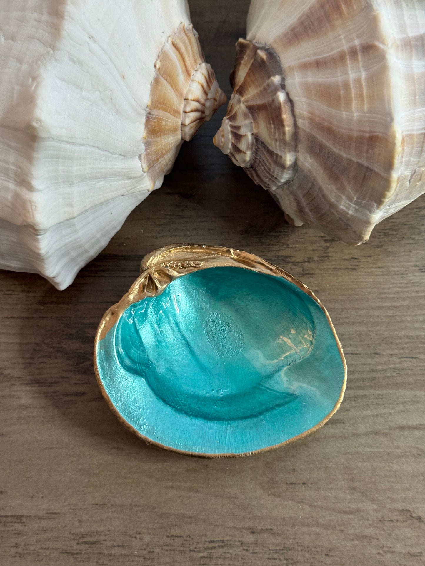 Seaside Expressions Trinket Tray