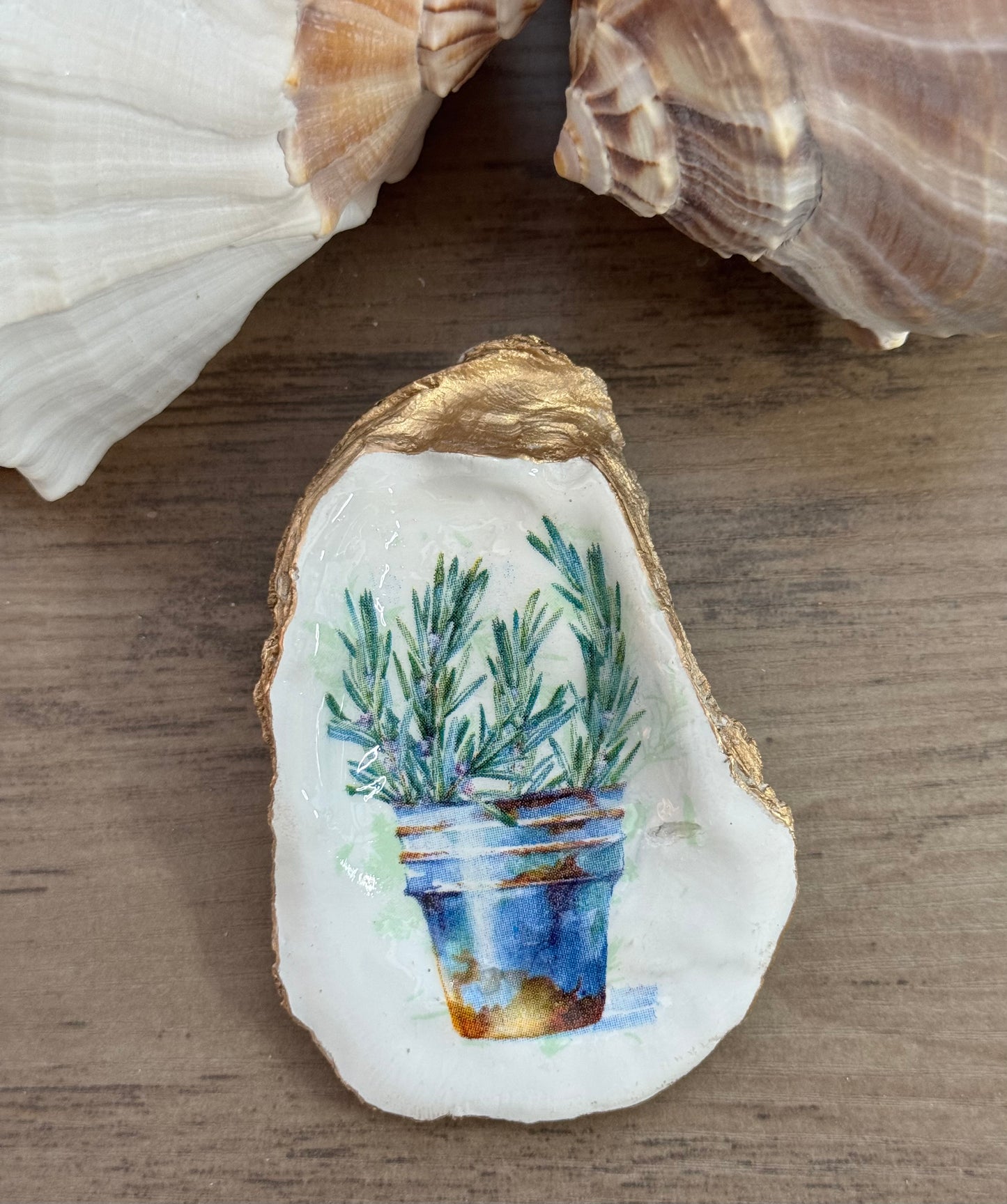 Seaside Expressions Trinket Tray