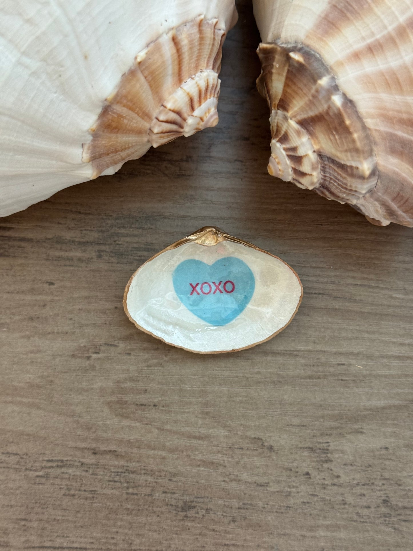 Sweetheart Shell