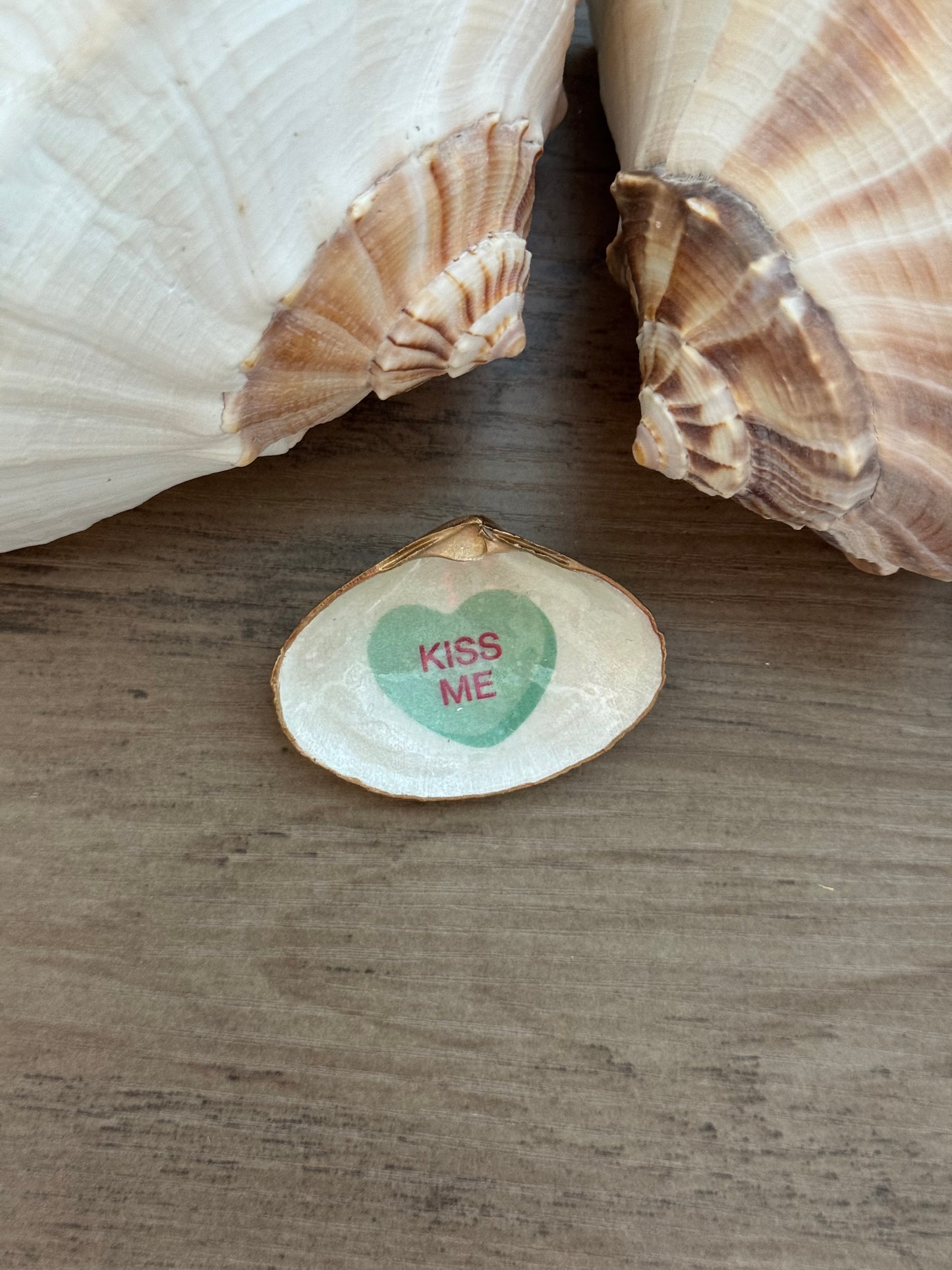 Sweetheart Shell