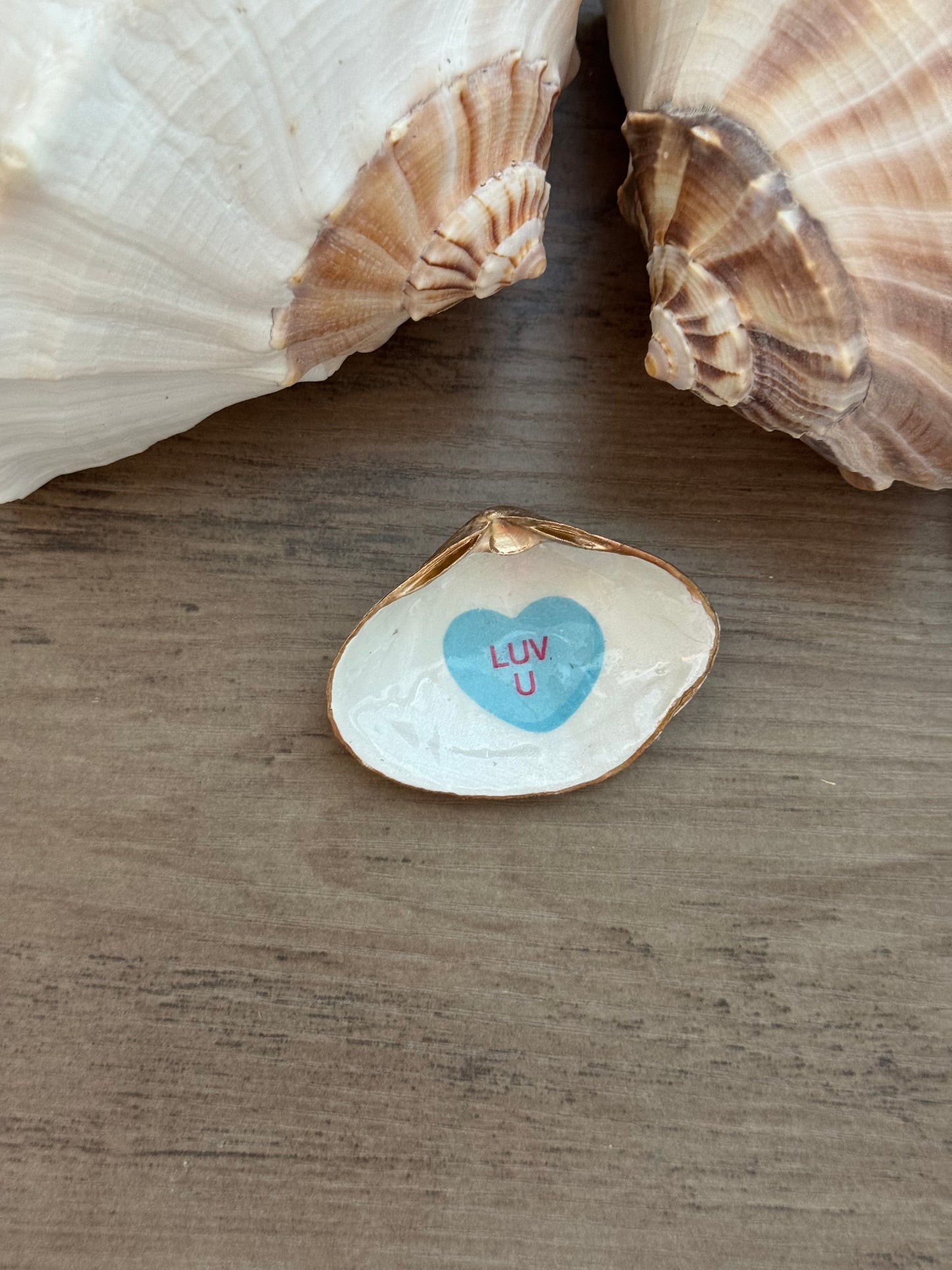 Sweetheart Shell