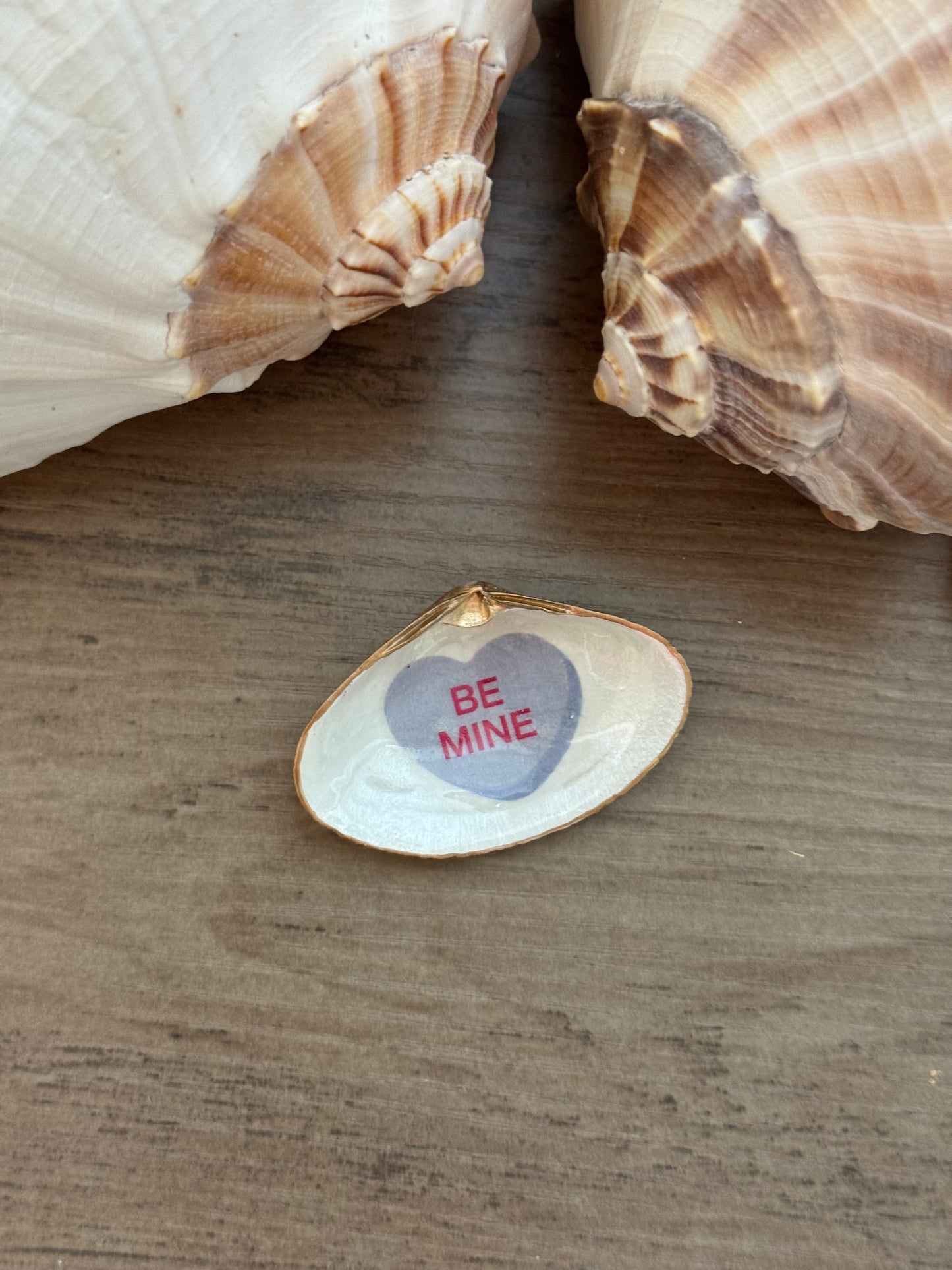 Sweetheart Shell