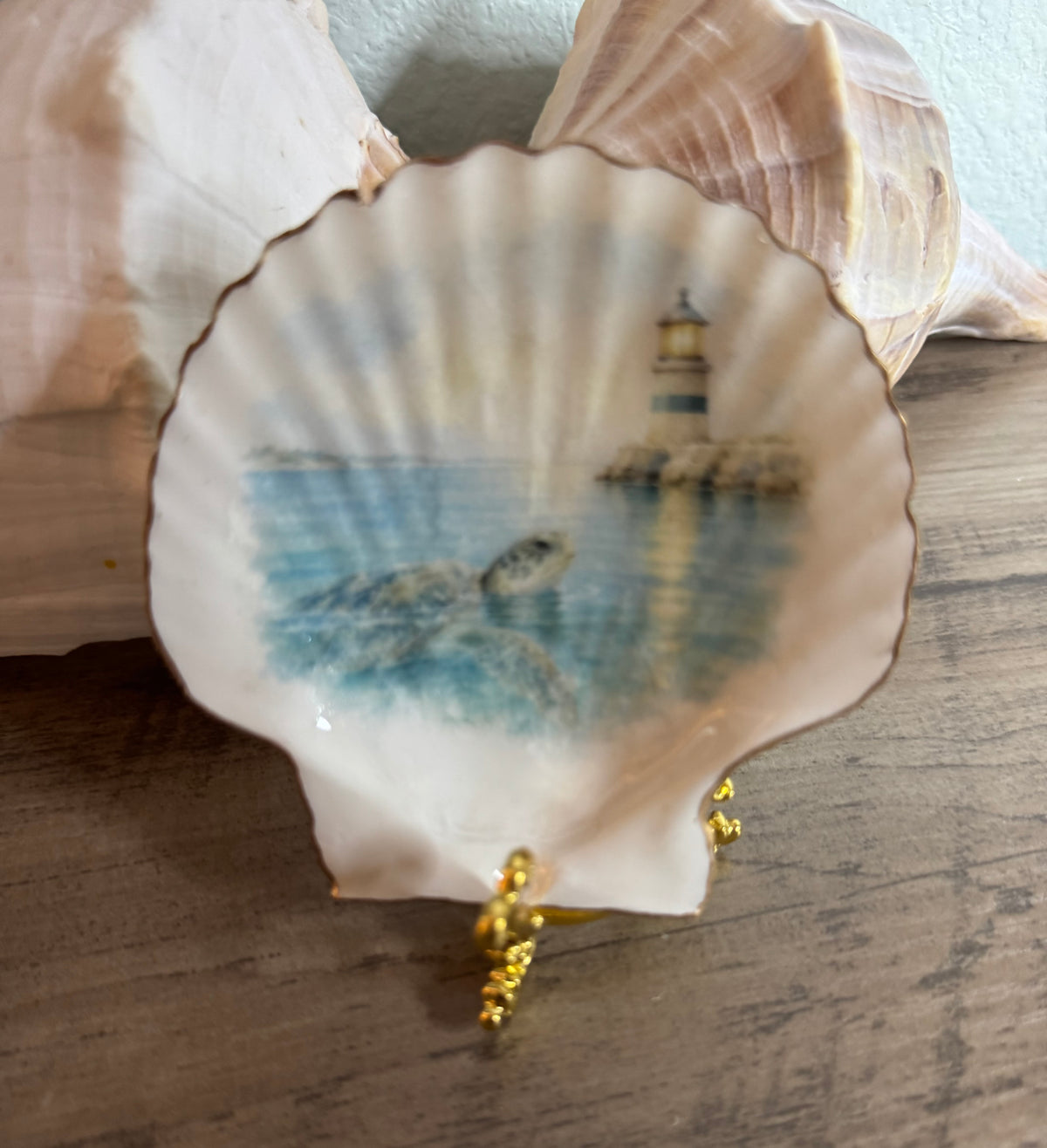 Coastal Glow Lighted Shell