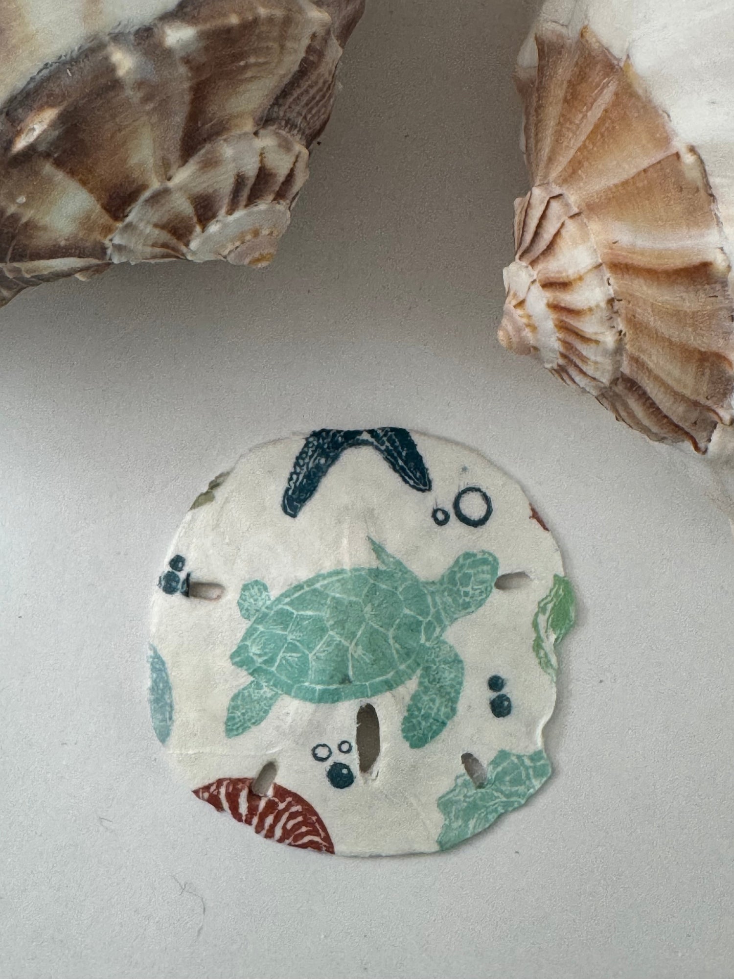 Decoupaged Sand Dollars