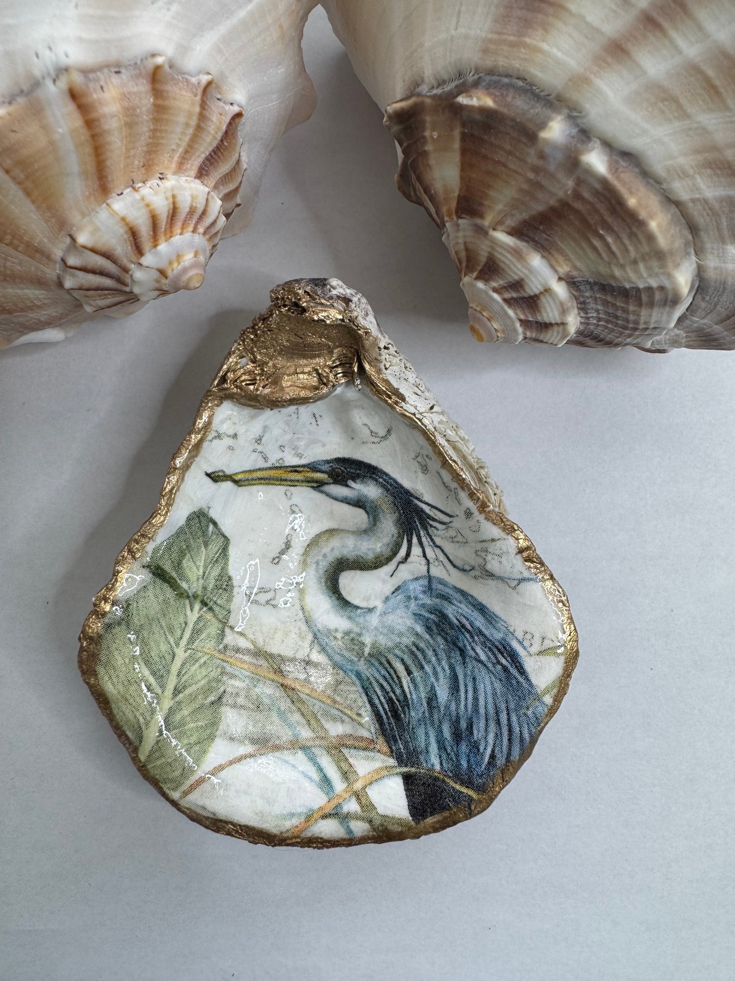 Oyster Shells